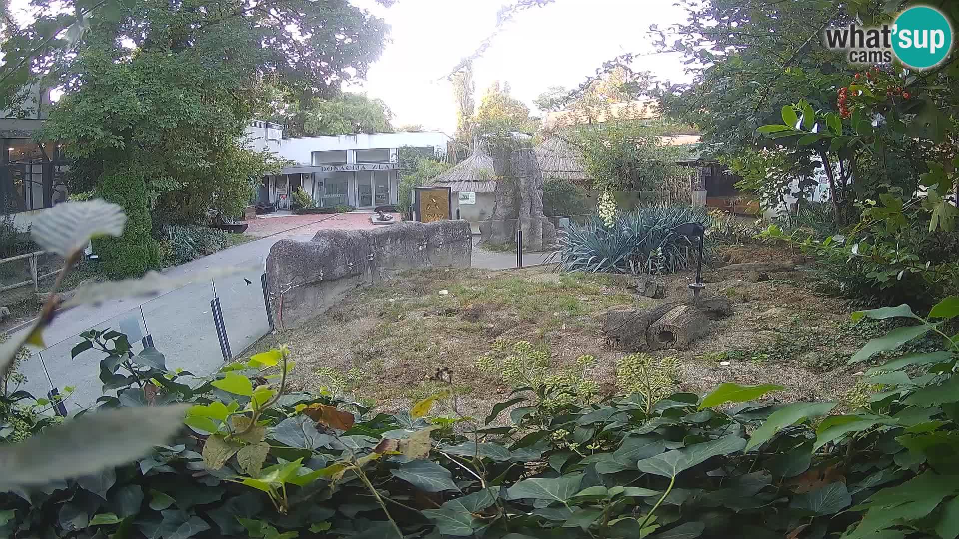 Zoo Zagreb – Erdmännchen