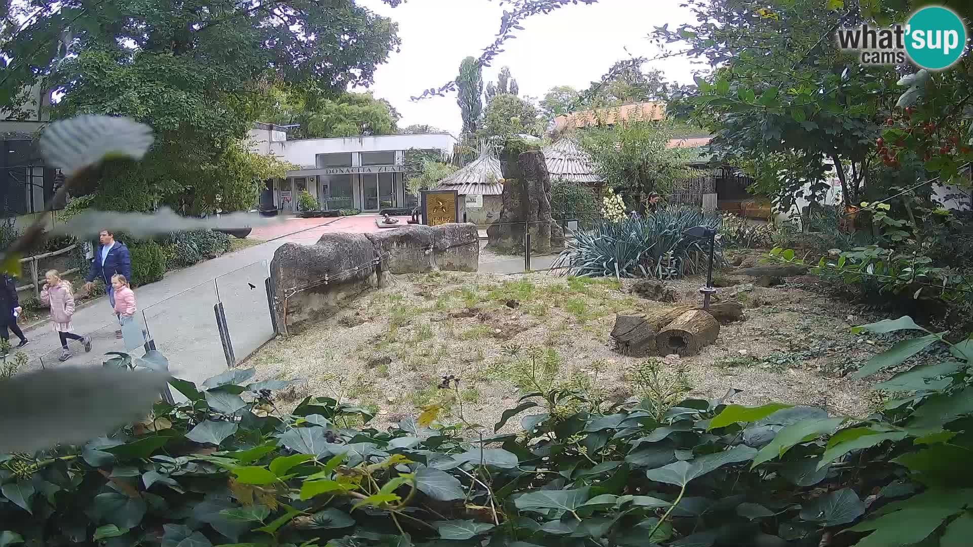 Zoo Zagreb – Surikate