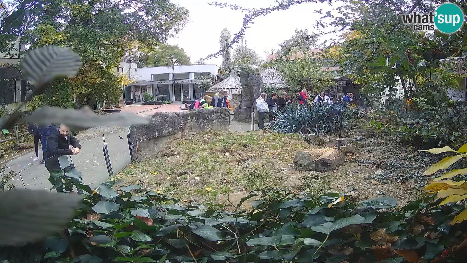 Zoo Zagreb – Erdmännchen