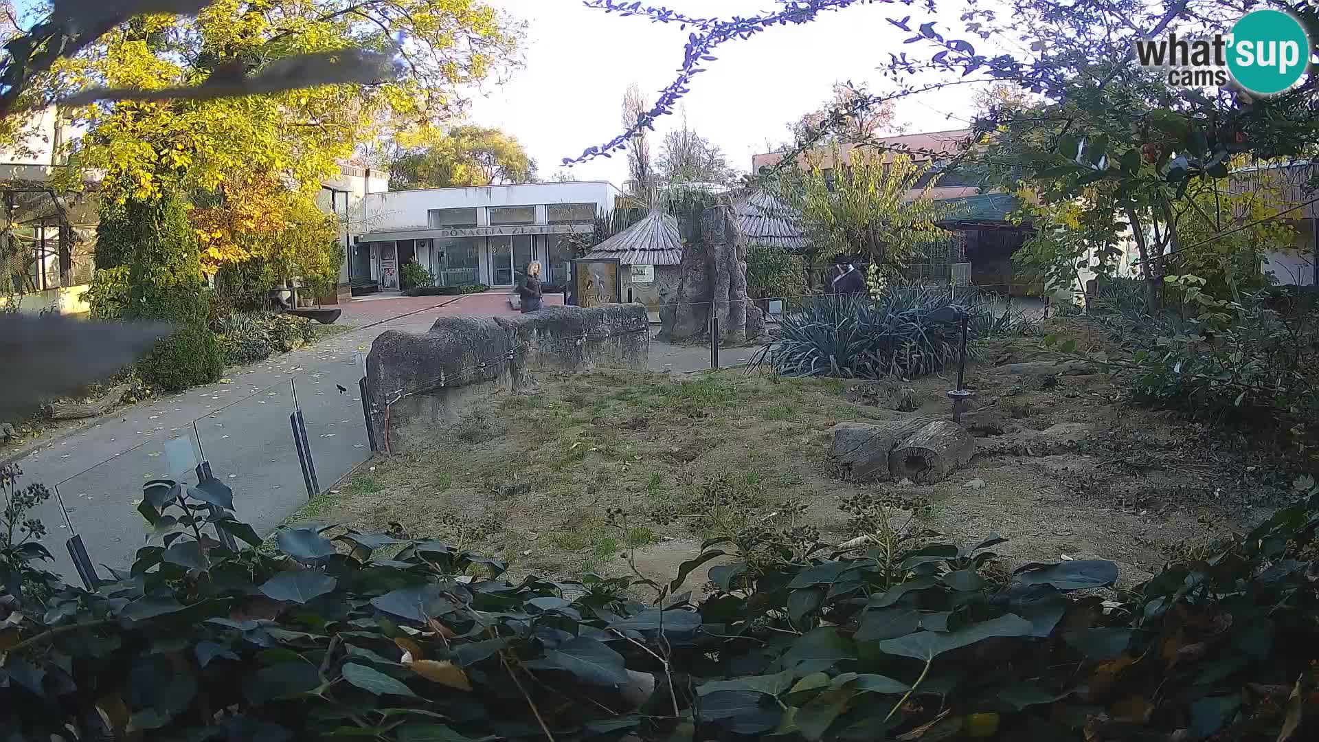 Zoo Zagreb – Merkat