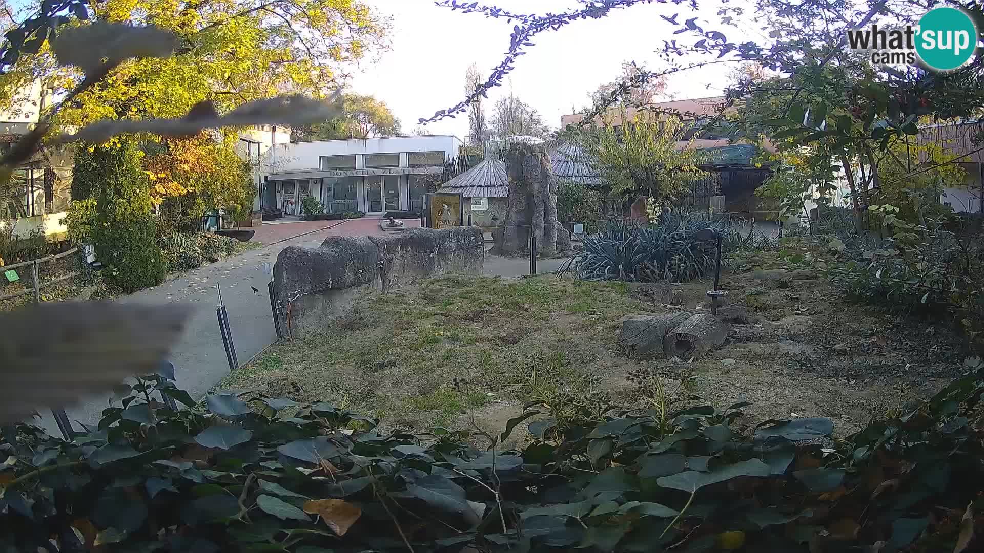 Zoo Zagreb – Merkat