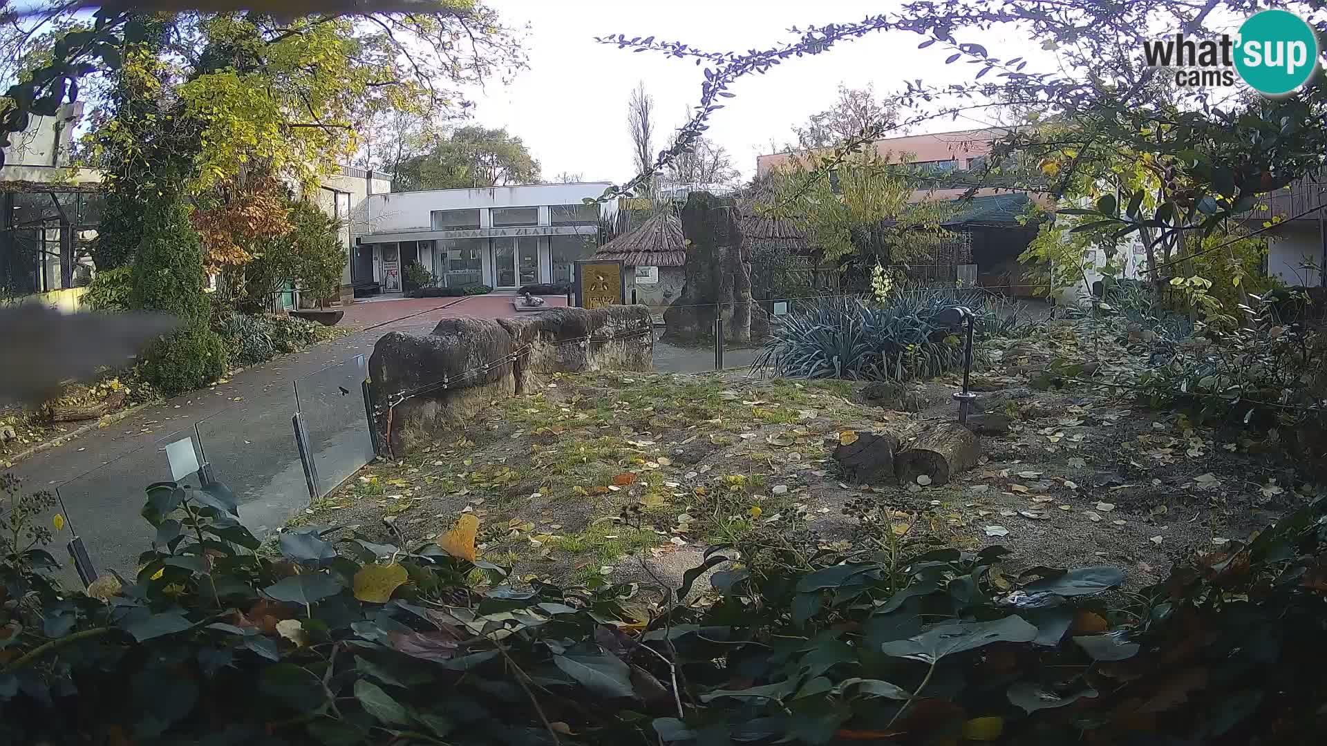 Zoo Zagreb – Erdmännchen