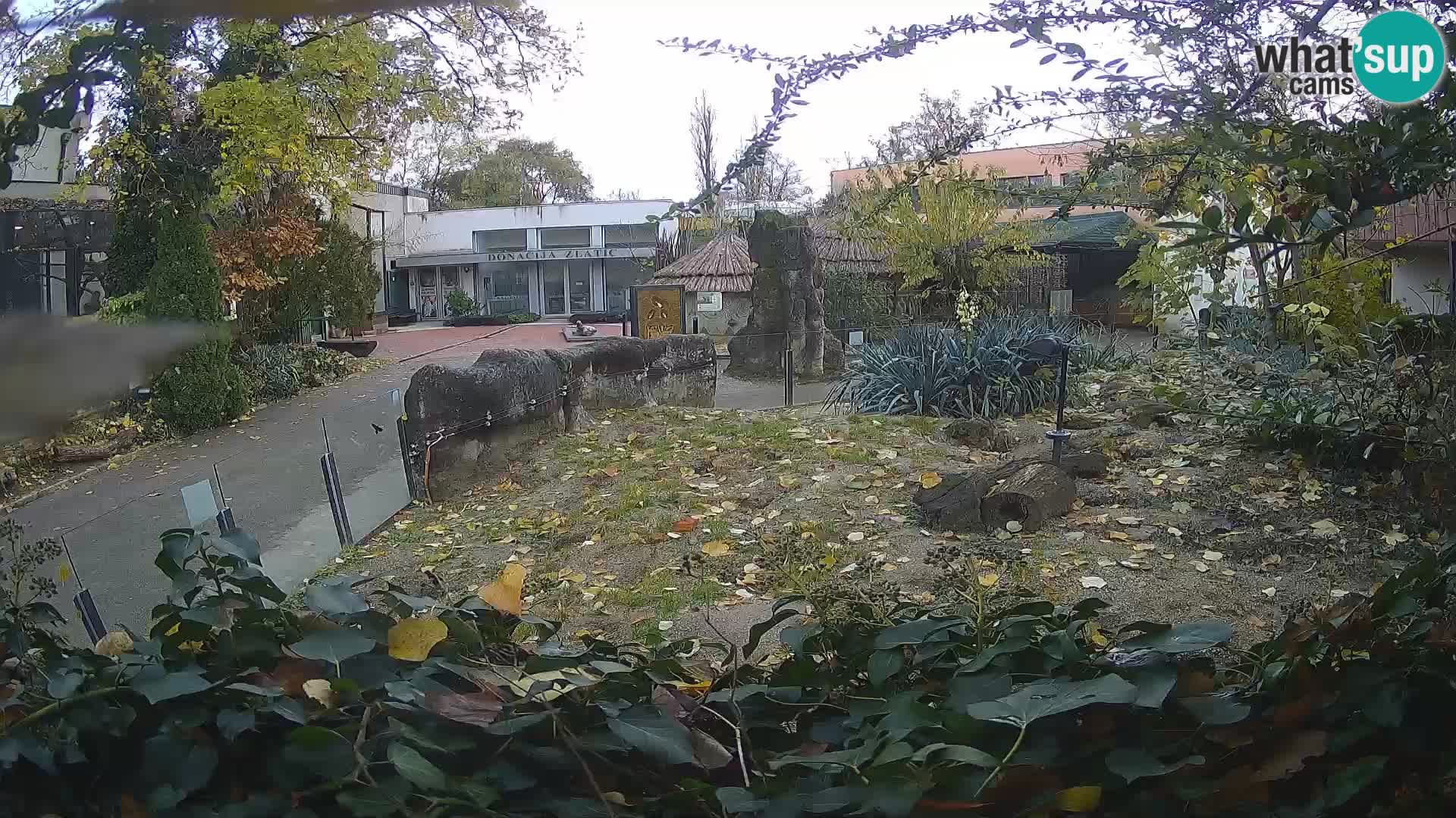 Zoo Zagreb – Erdmännchen