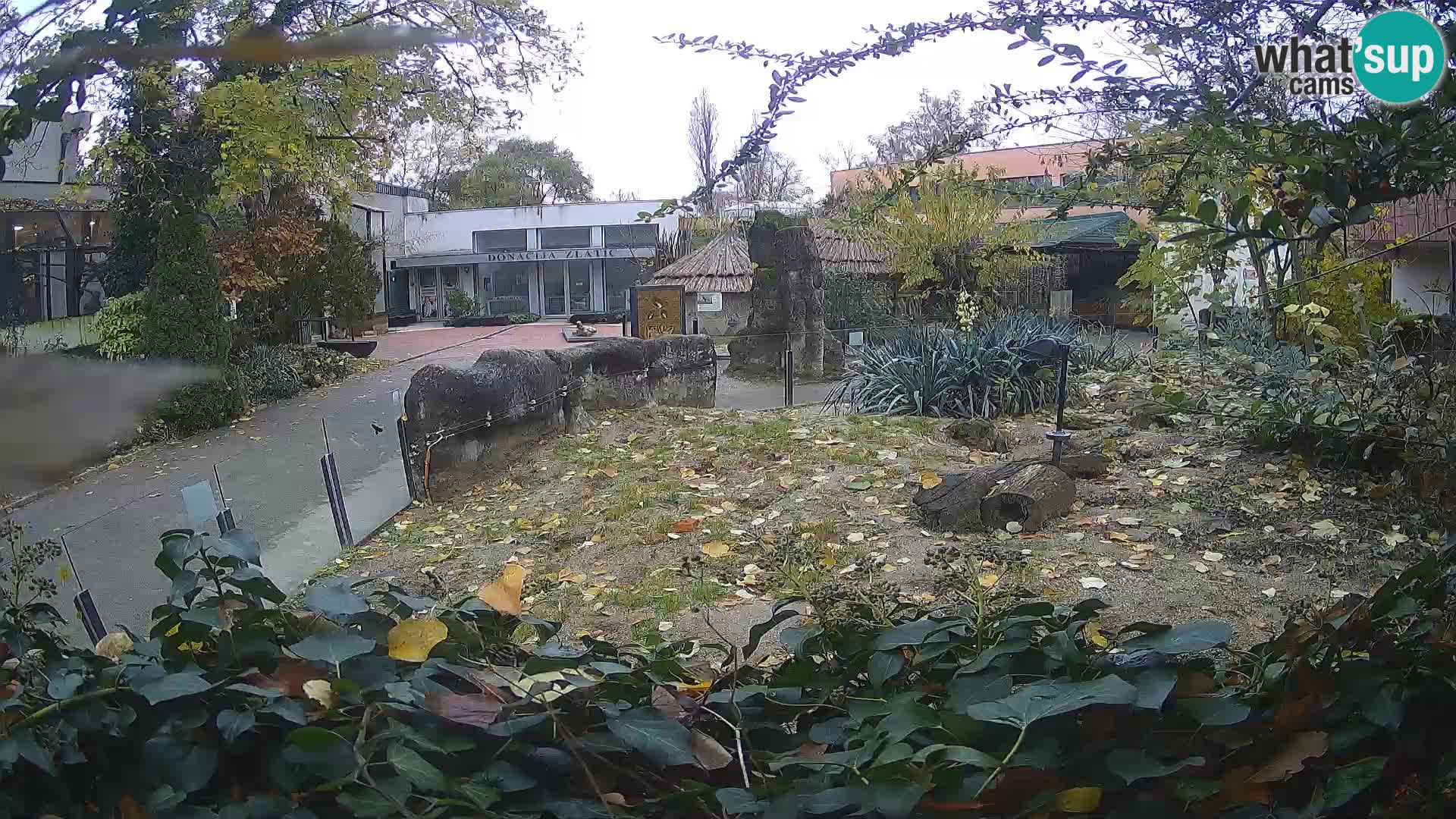 Zoo Zagreb – Erdmännchen