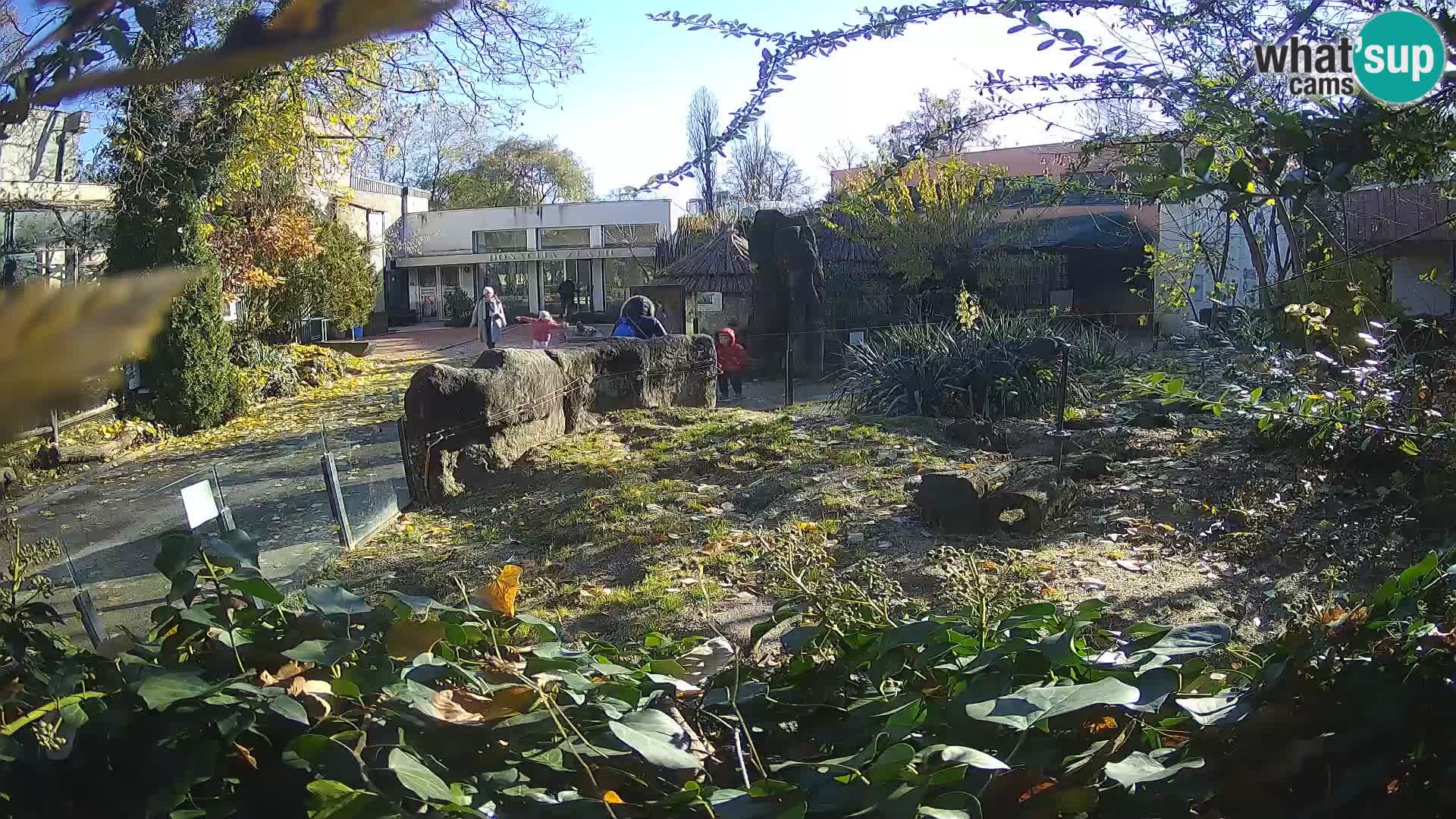 Zoo Zagreb – Erdmännchen