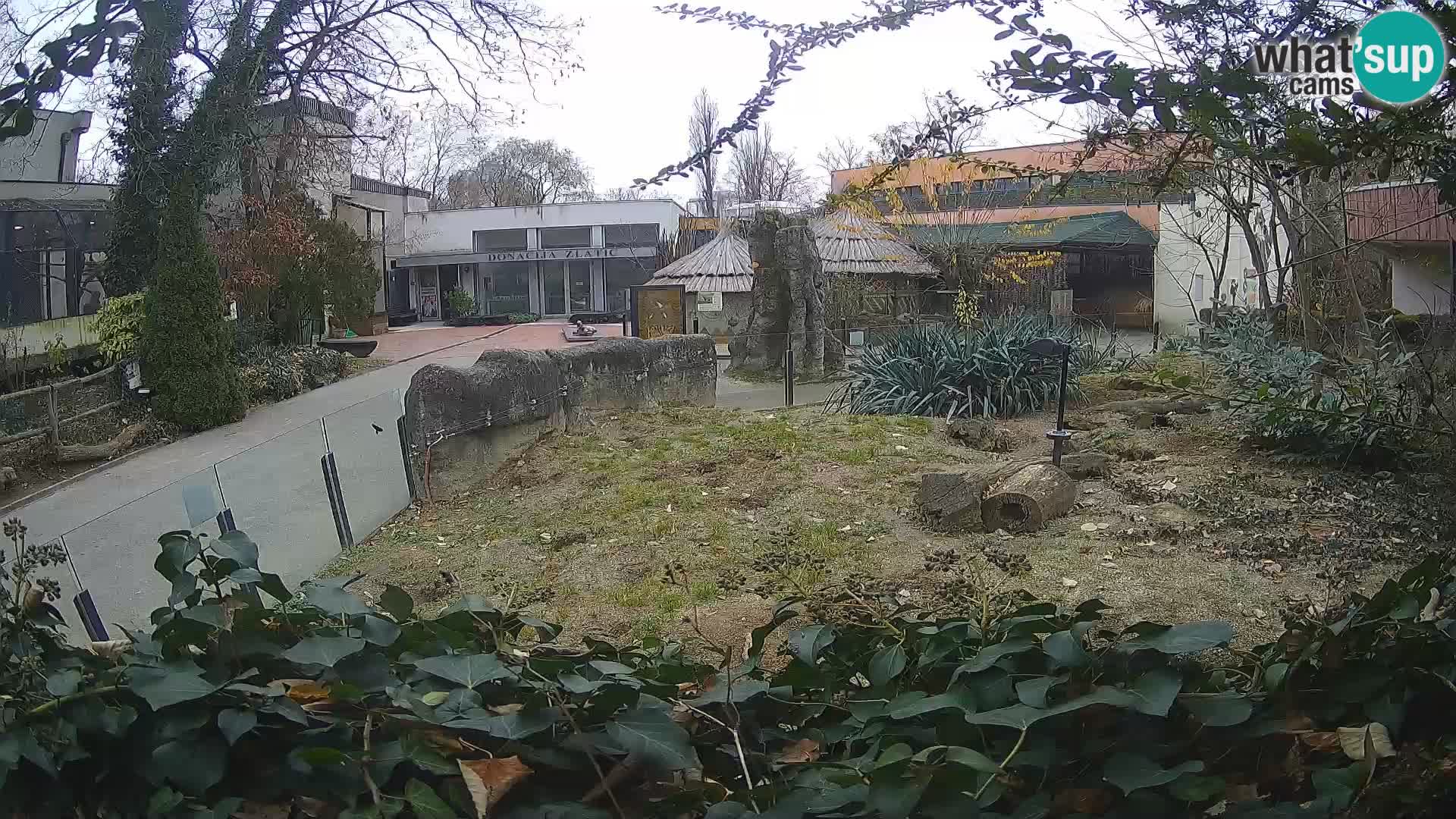 Zoo Zagreb – Erdmännchen