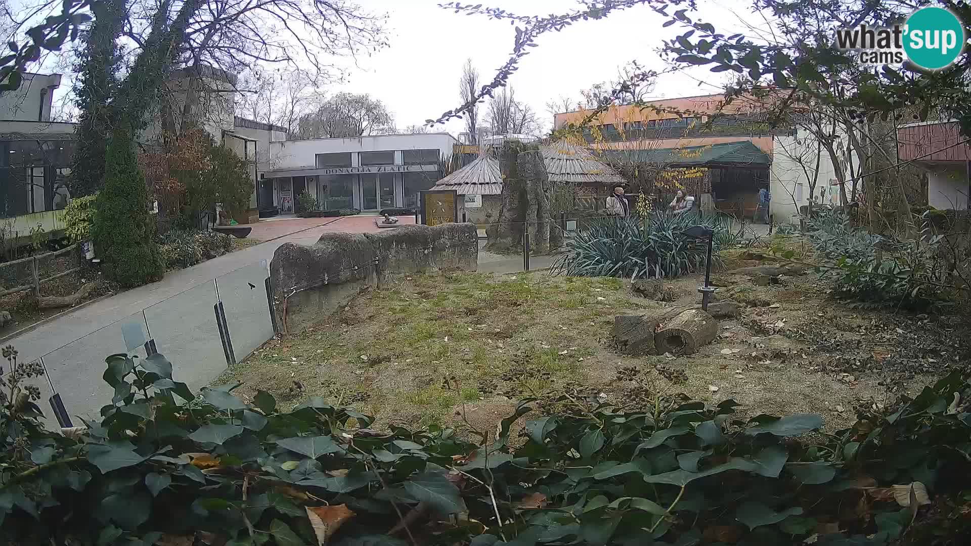 Zoo Zagreb – Erdmännchen