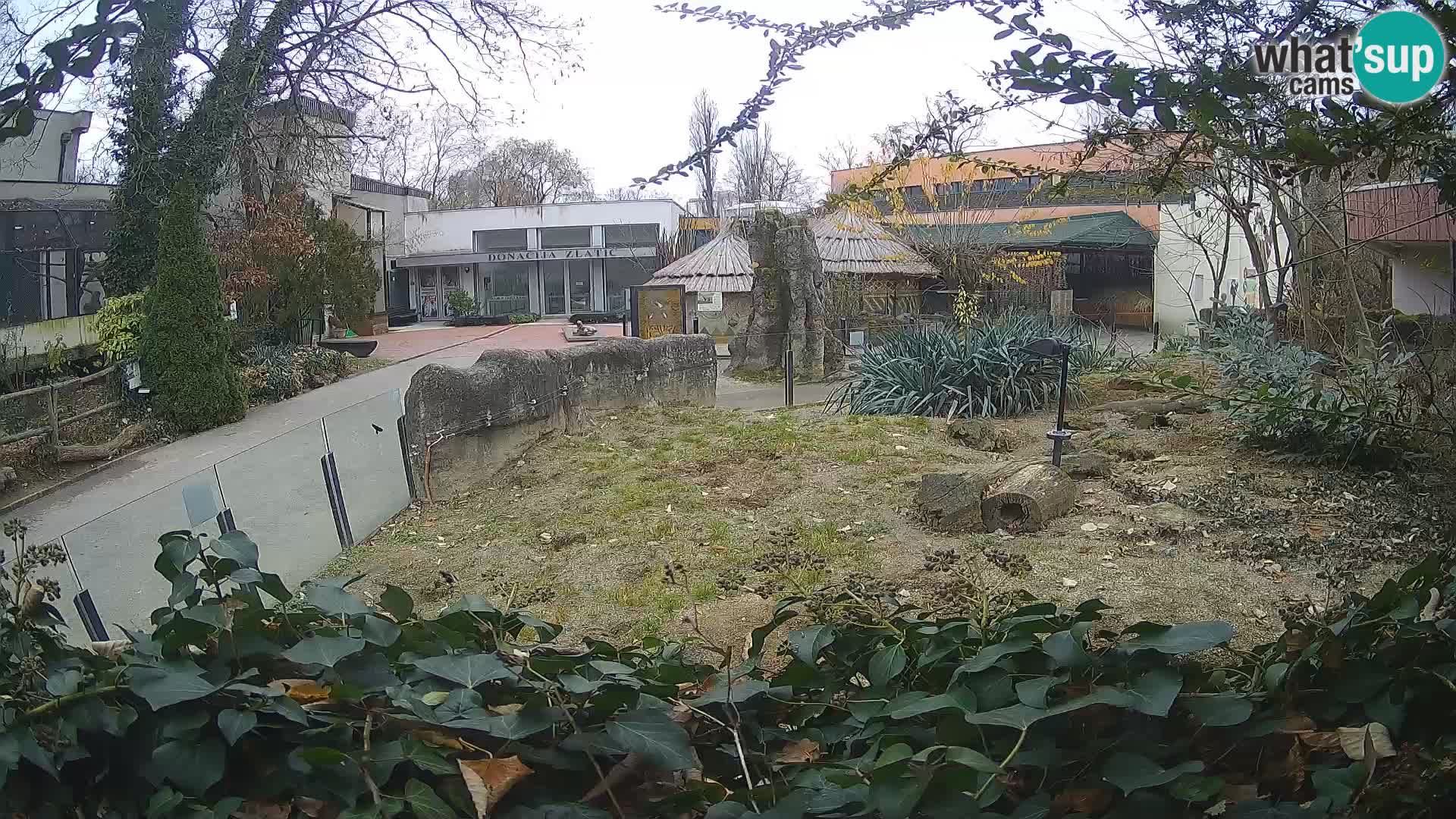 Zoo Zagreb – Erdmännchen