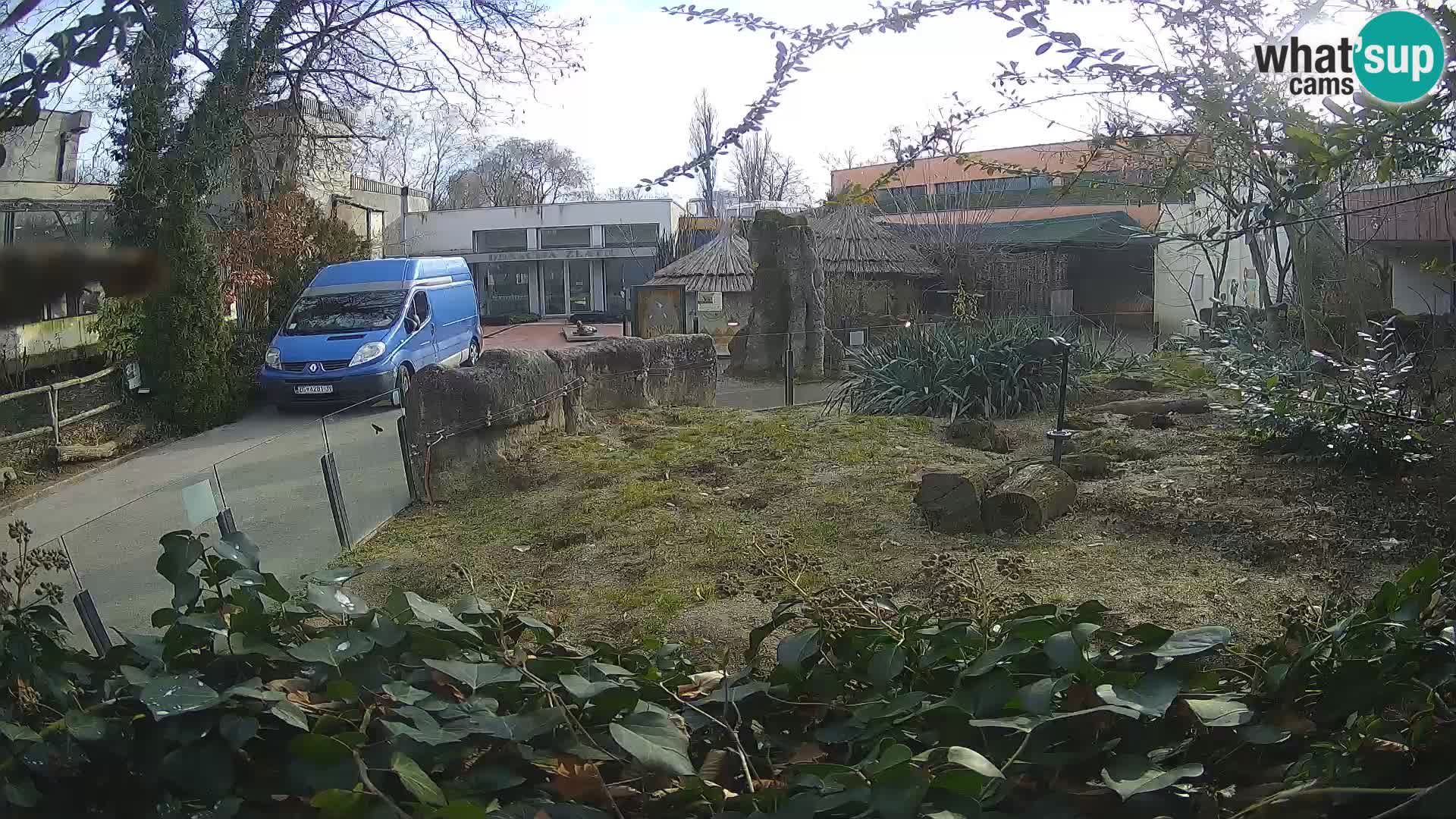 Zoo Zagreb – Erdmännchen