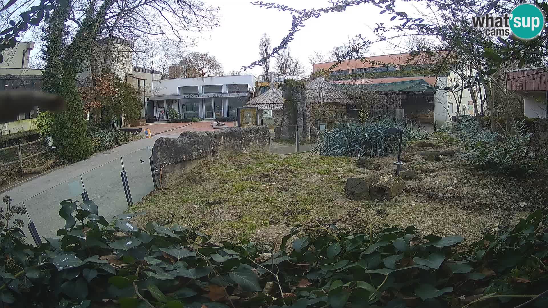 Zoo Zagreb – Merkat