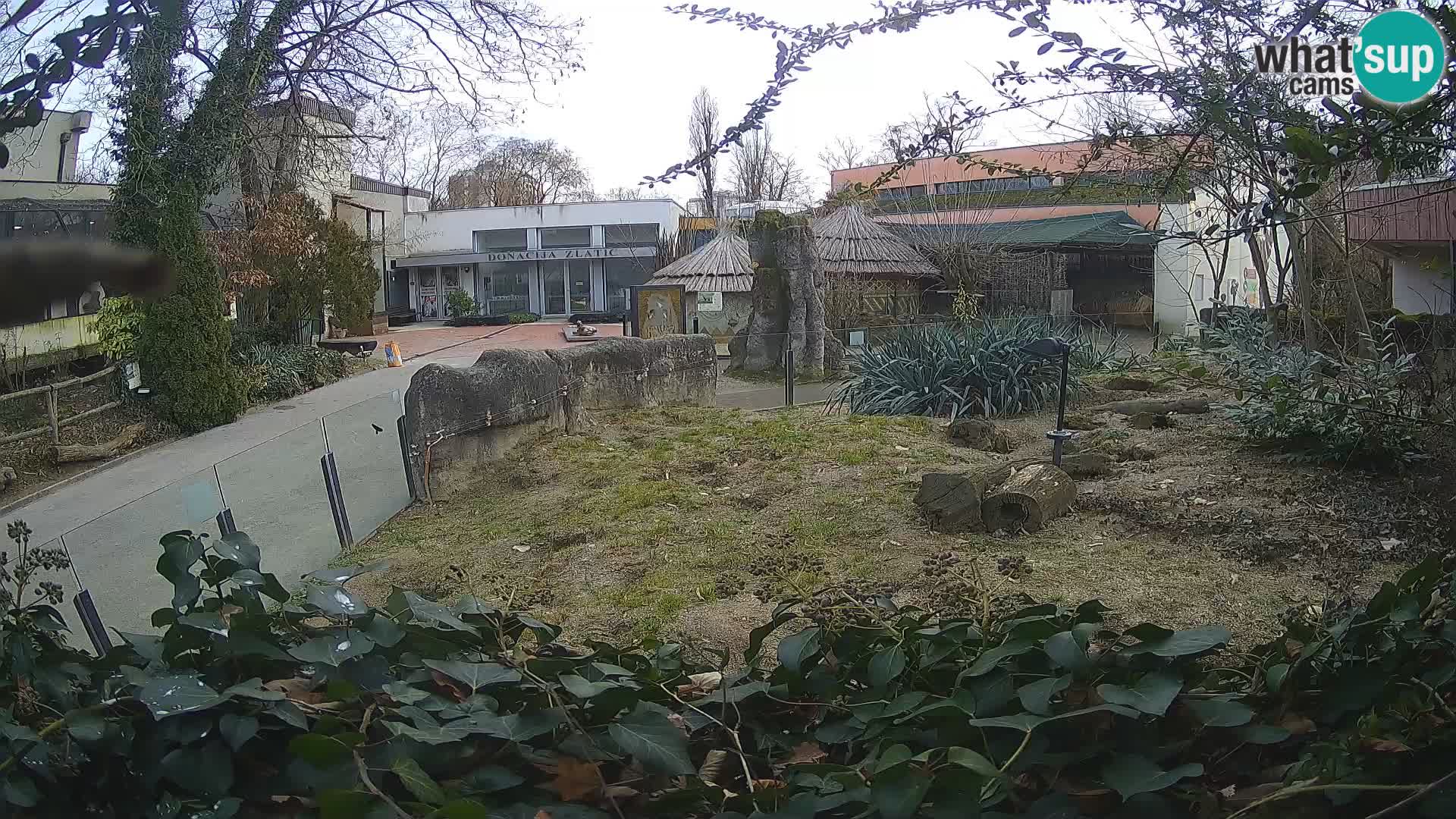 Zoo Zagreb – Erdmännchen