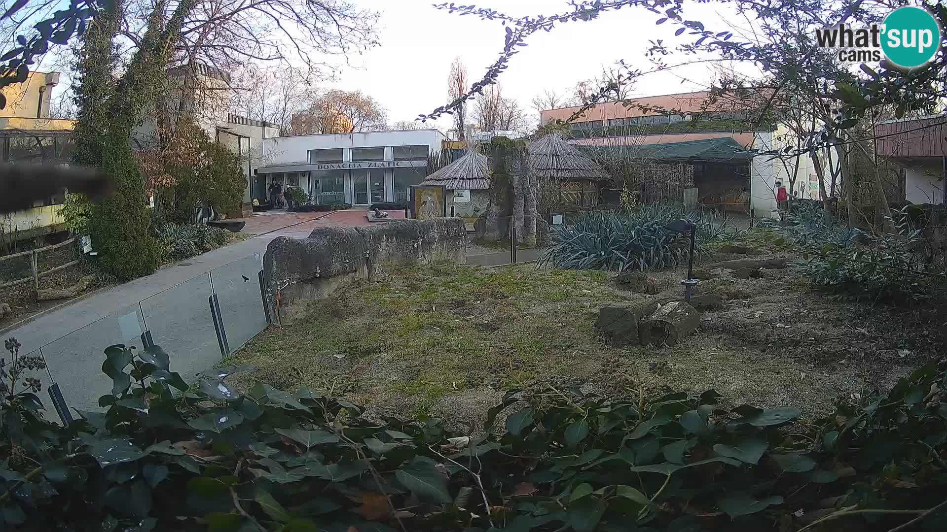 Zoo Zagreb – Erdmännchen