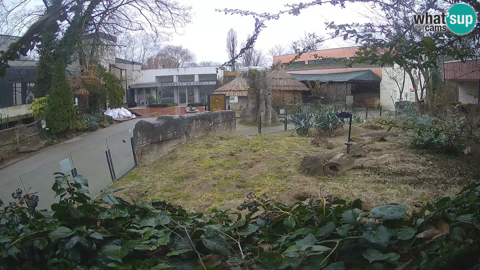 Zoo Zagreb – Erdmännchen