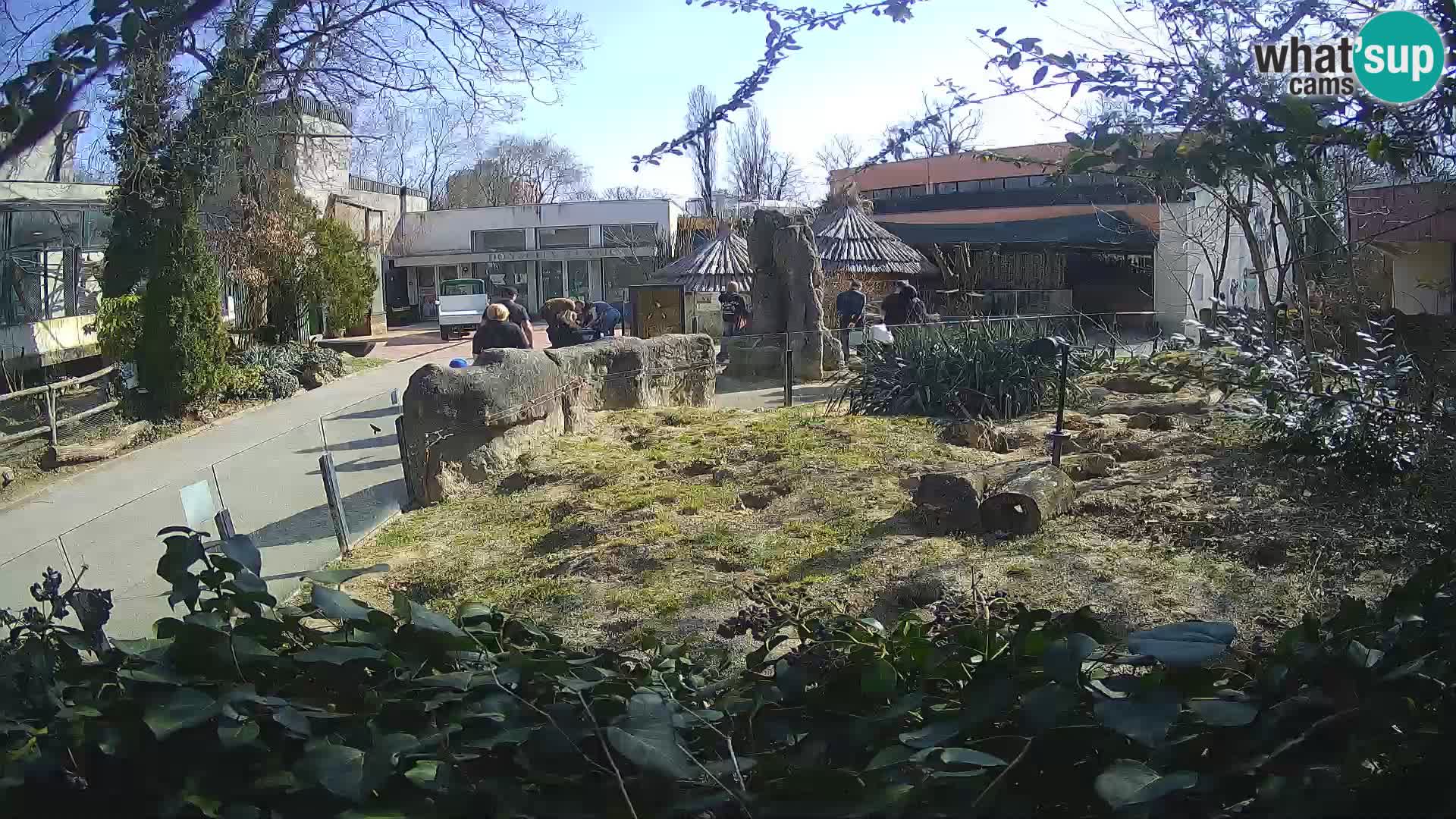 Zoo Zagreb – Erdmännchen