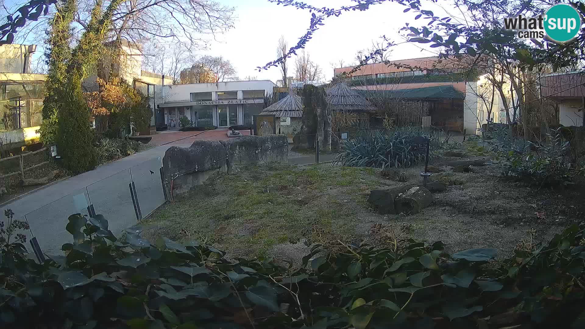 Zoo Zagreb – Surikate