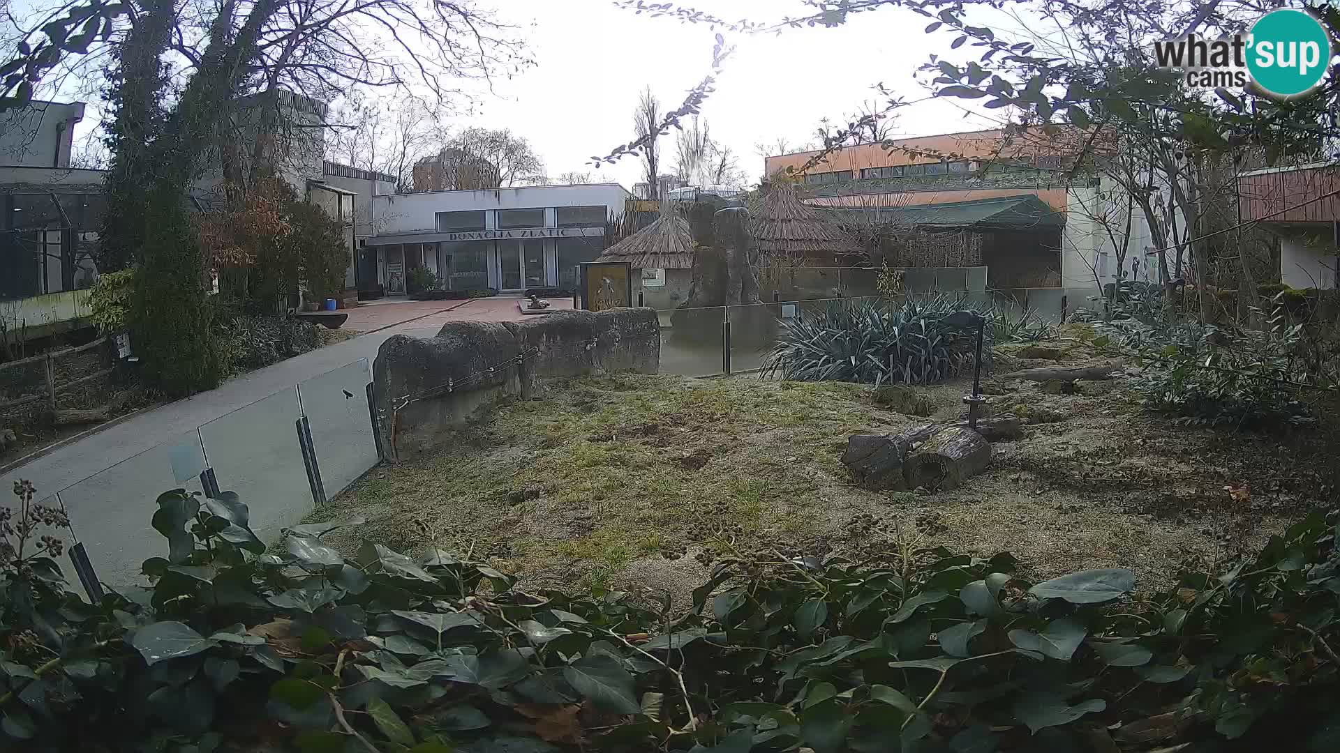 Zoo Zagreb – Erdmännchen