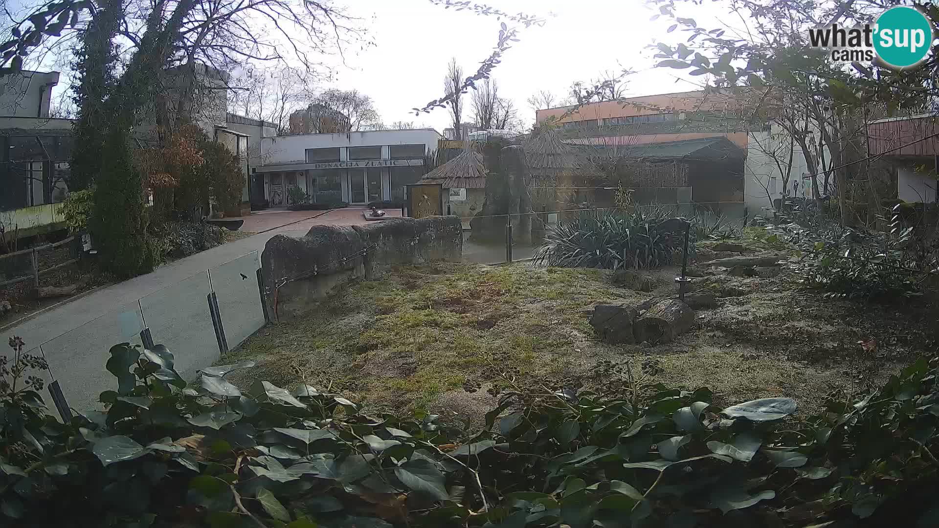 Zoo Zagreb – Erdmännchen