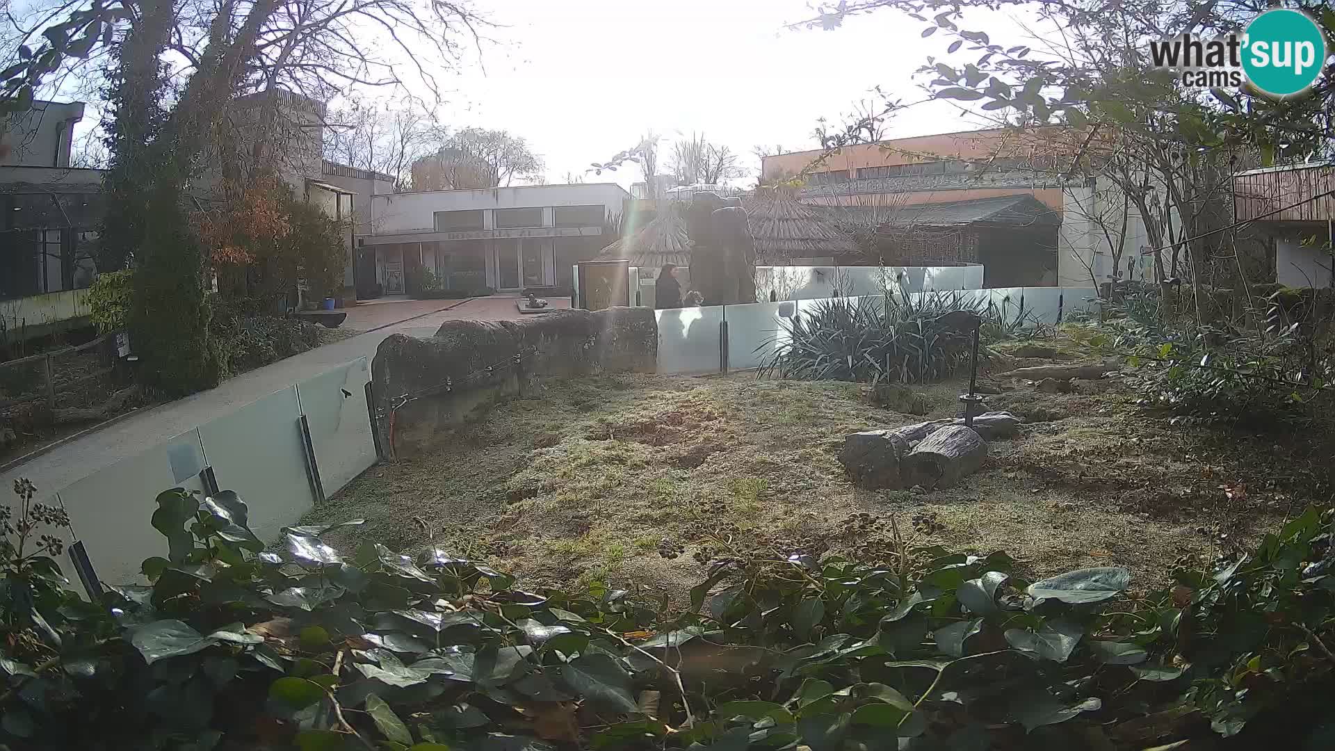 Zoo Zagreb – Erdmännchen