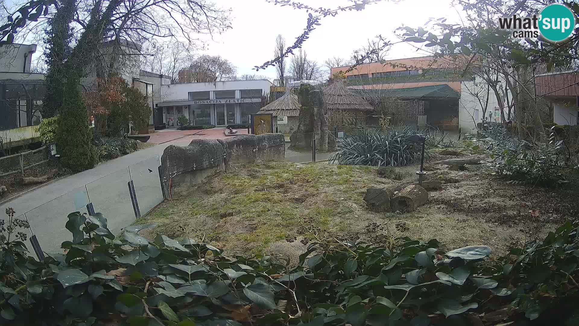 Zoo Zagreb – Erdmännchen