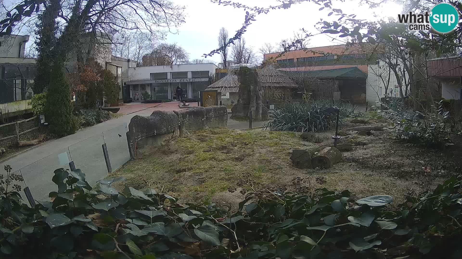 Zoo Zagreb – Erdmännchen