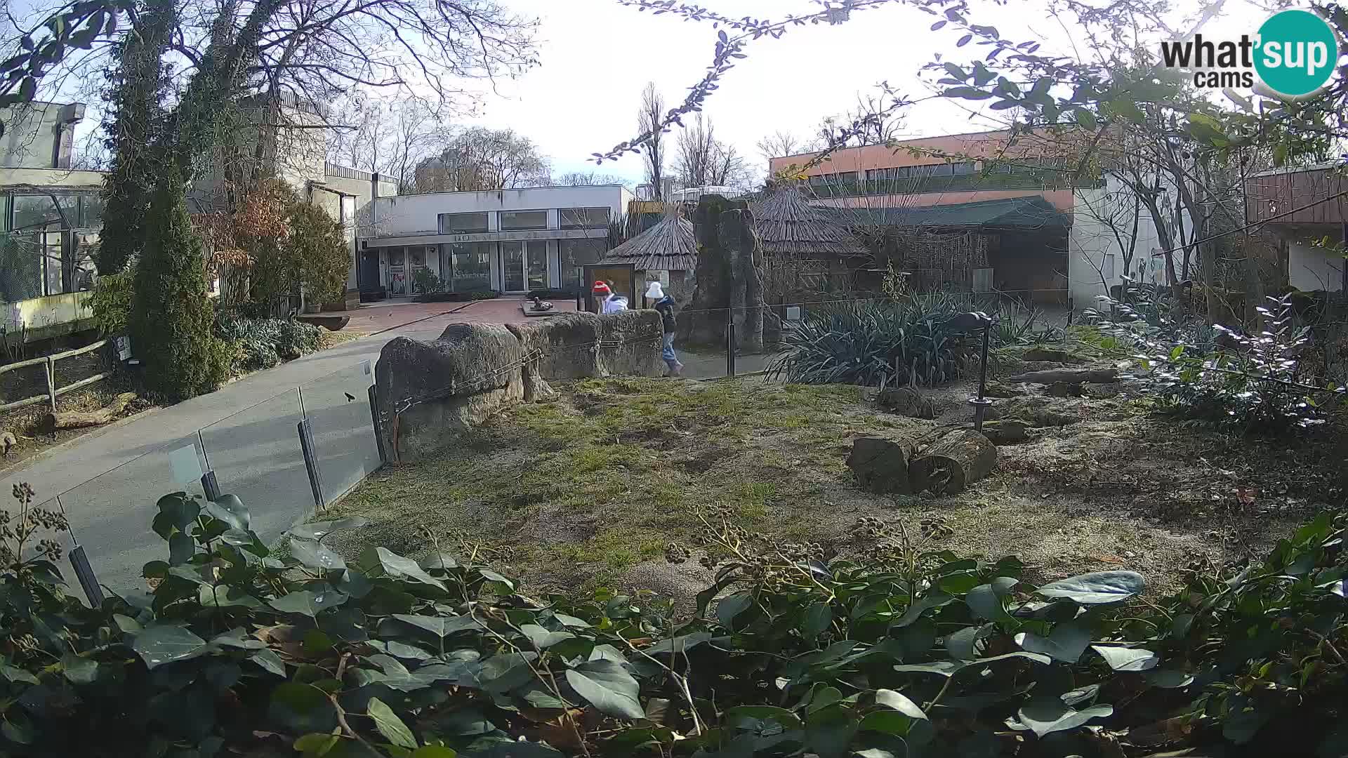 Zoo Zagreb – Surikate