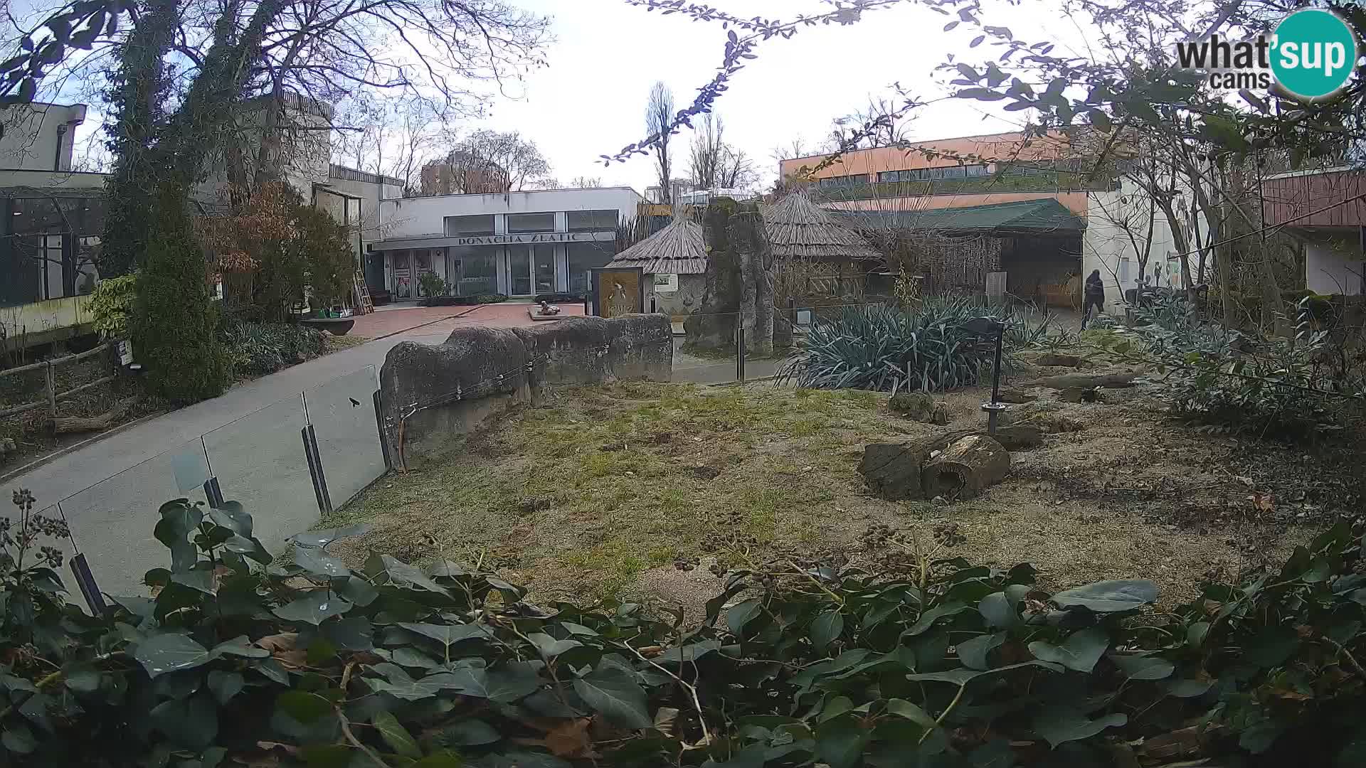 Zoo Zagreb – Erdmännchen