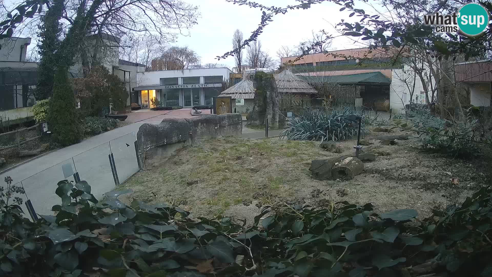 Zoo Zagreb – Merkat