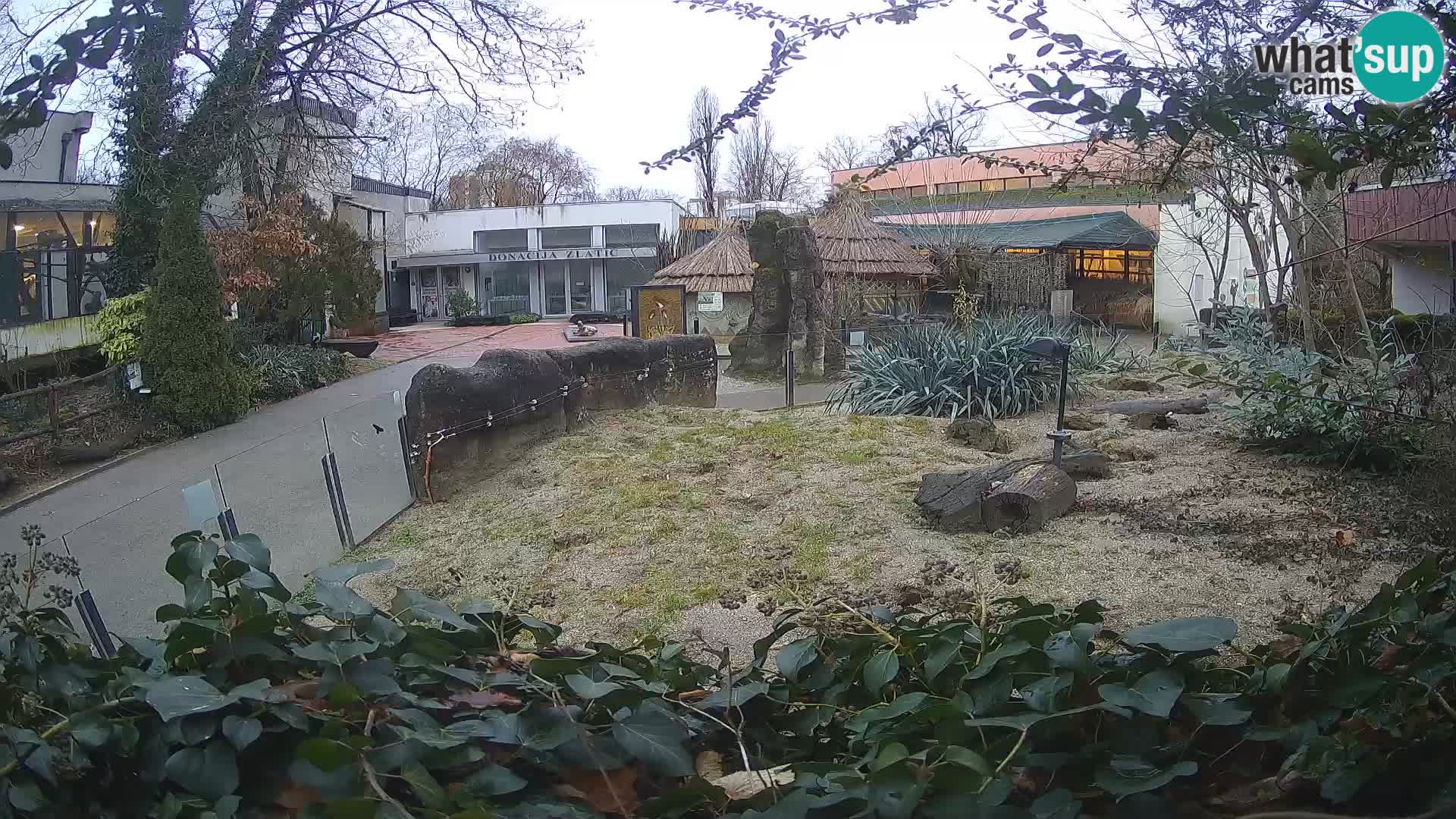 Zoo Zagreb – Erdmännchen