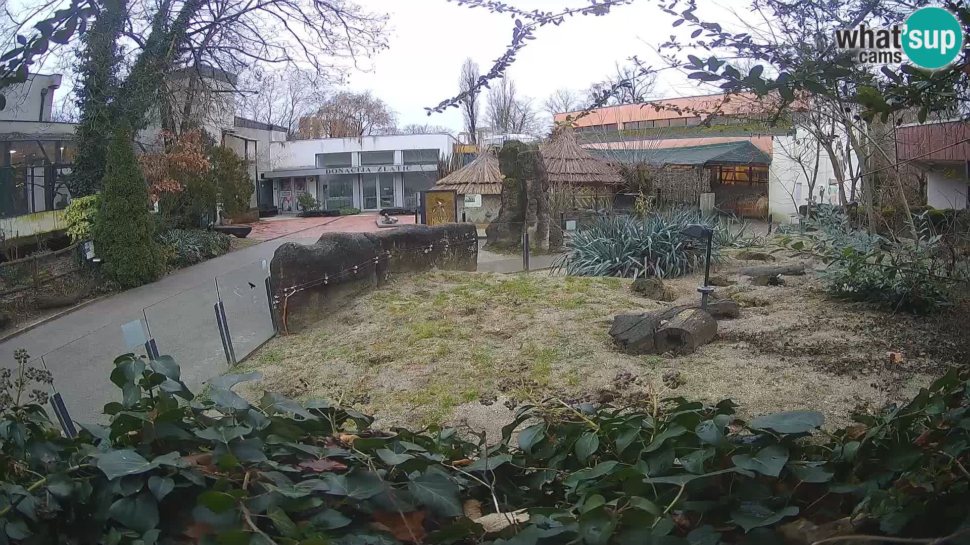 Zoo Zagreb – Erdmännchen