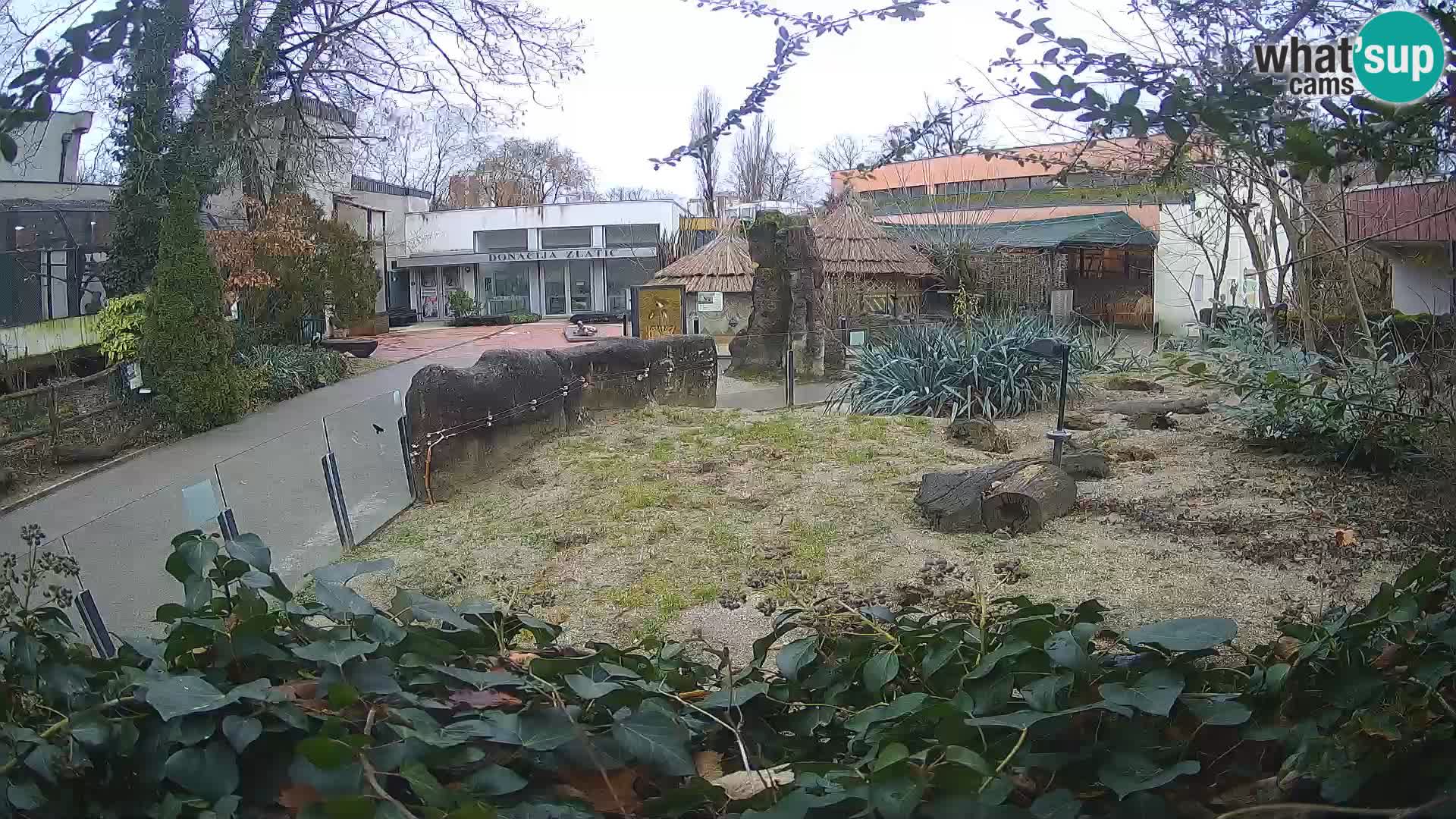 Zoo Zagreb – Erdmännchen