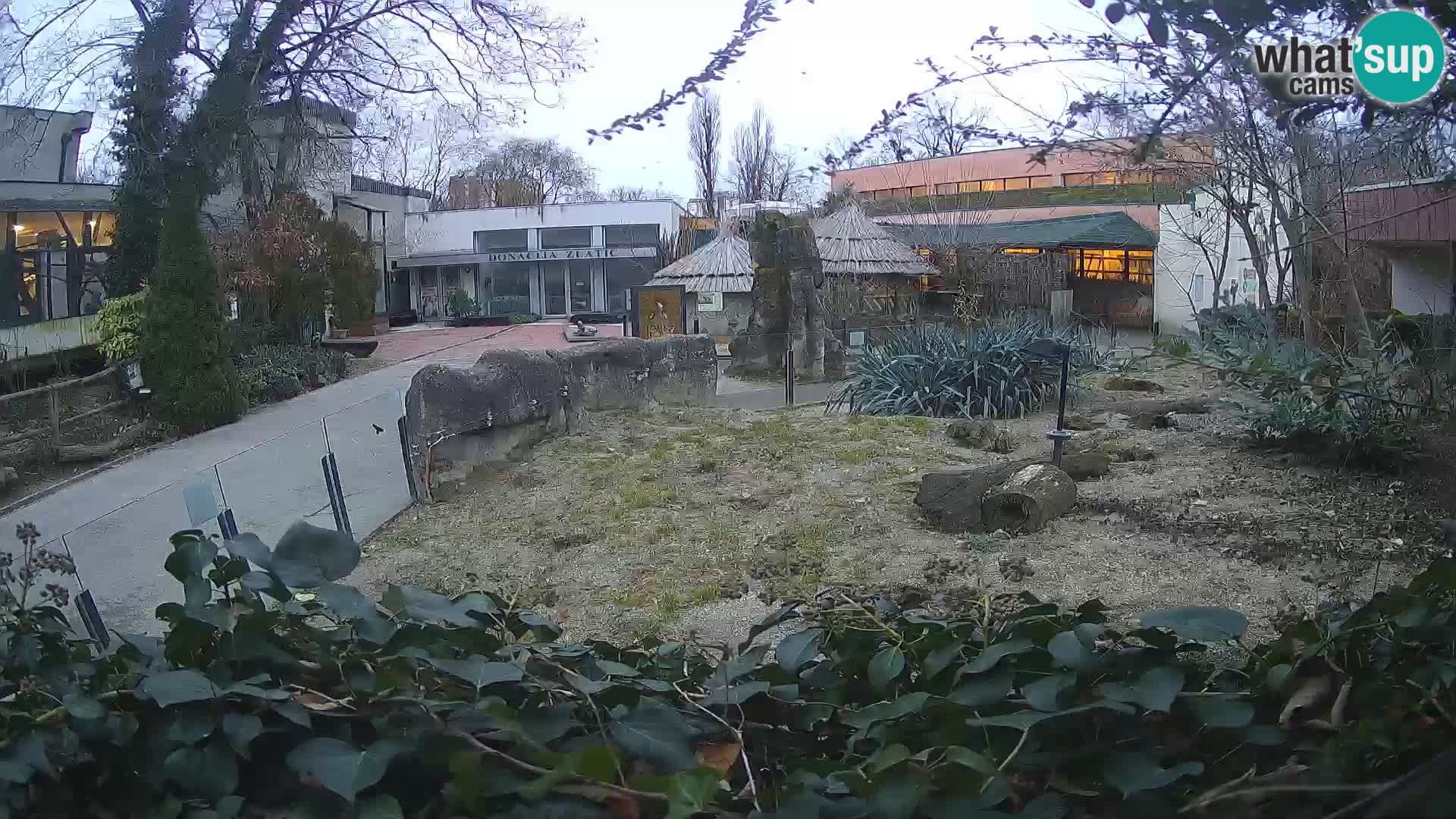 Zoo Zagreb – Erdmännchen