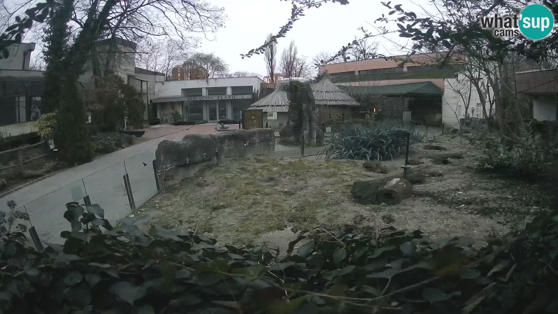 Zoo Zagreb – Merkat