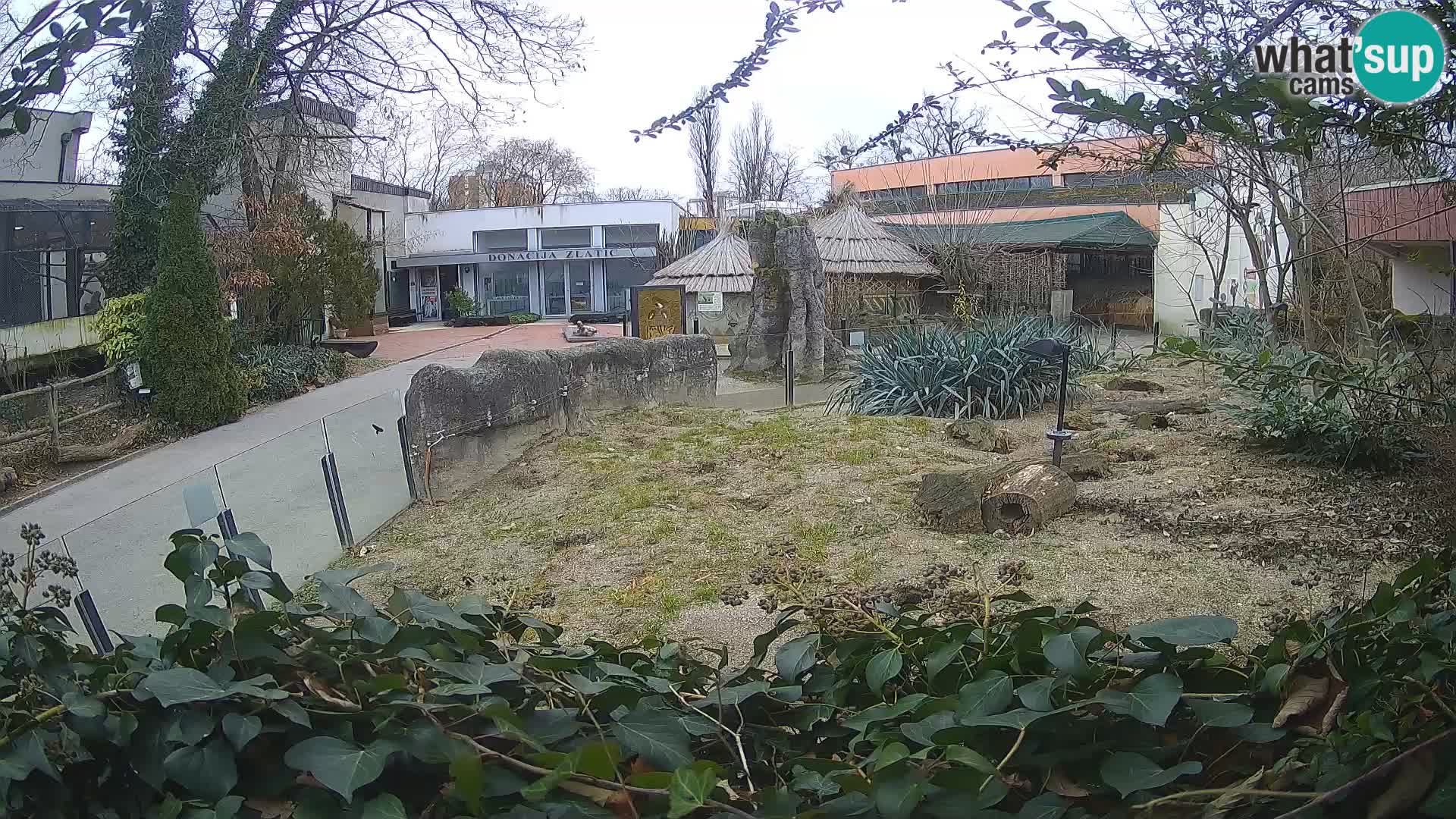 Zoo Zagreb – Erdmännchen