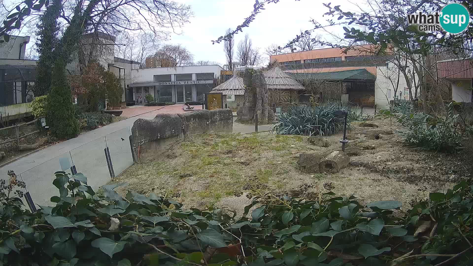 Zoo Zagreb – Erdmännchen