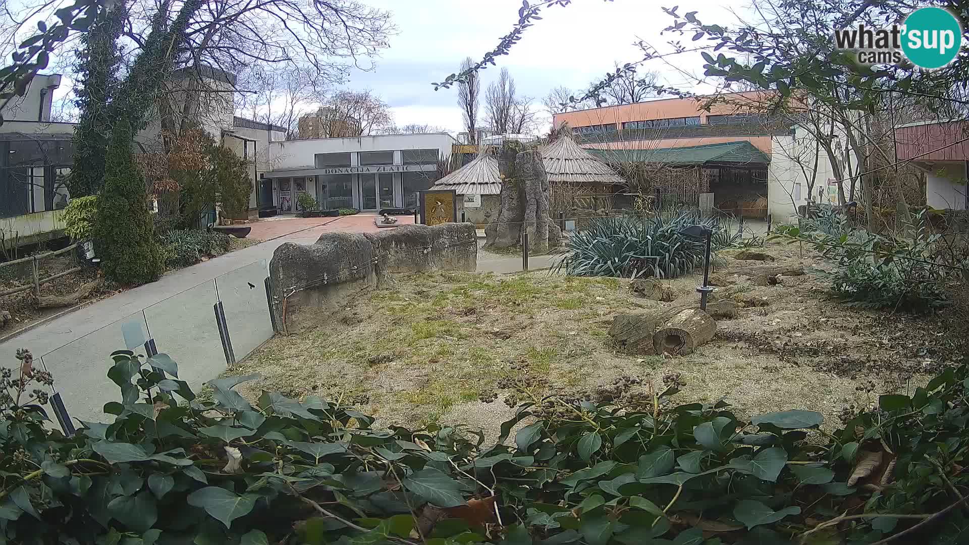 Zoo Zagreb – Erdmännchen