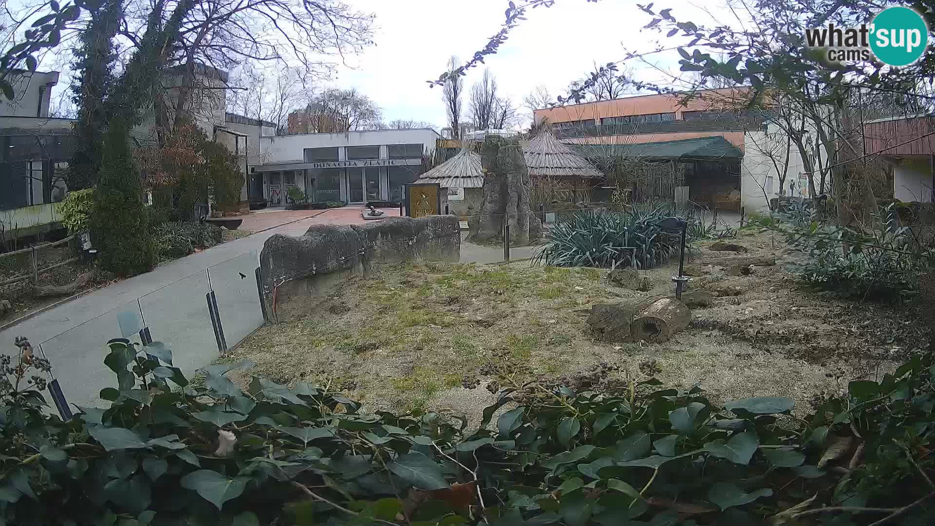 Zoo Zagreb – Erdmännchen