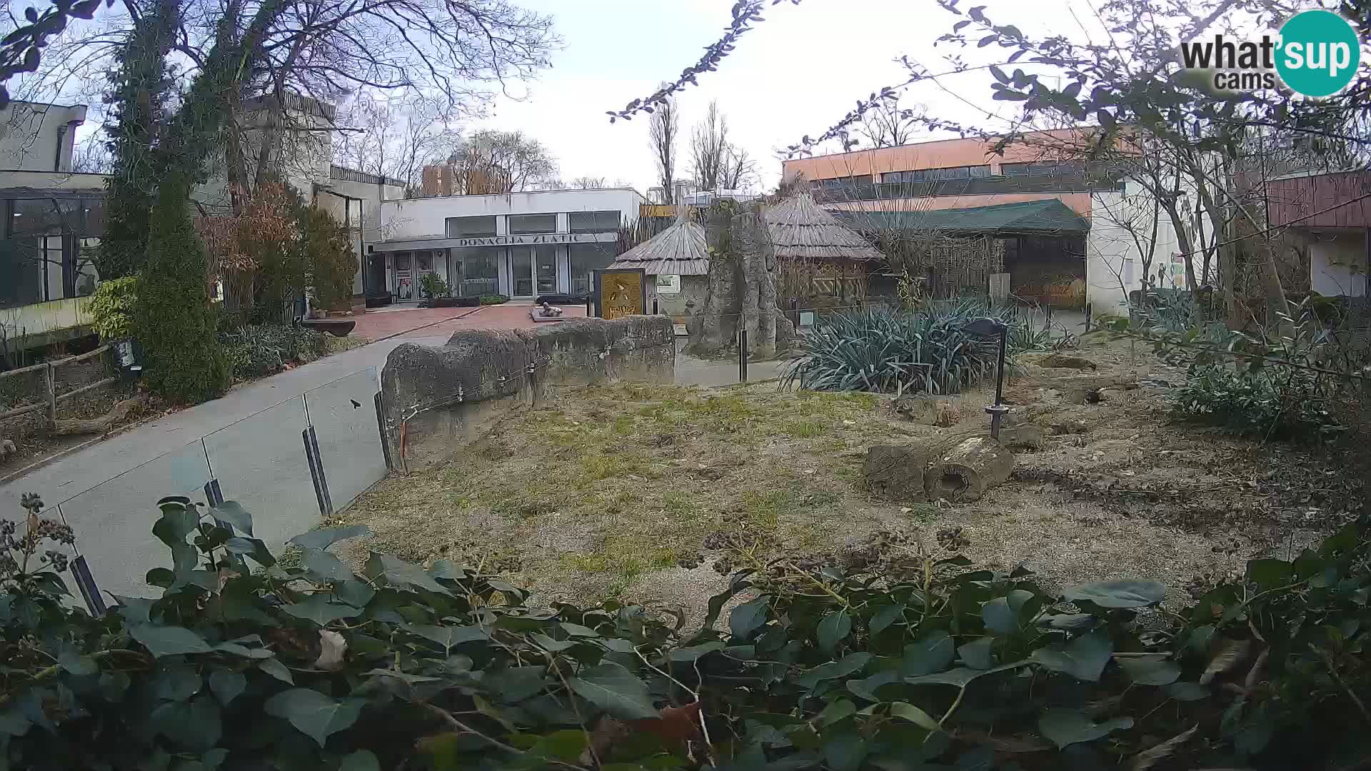 Zoo Zagreb – Erdmännchen