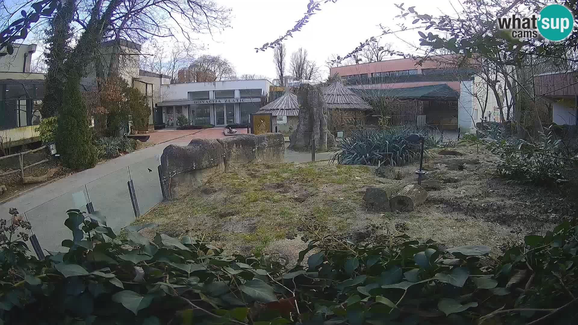 Zoo Zagreb – Erdmännchen