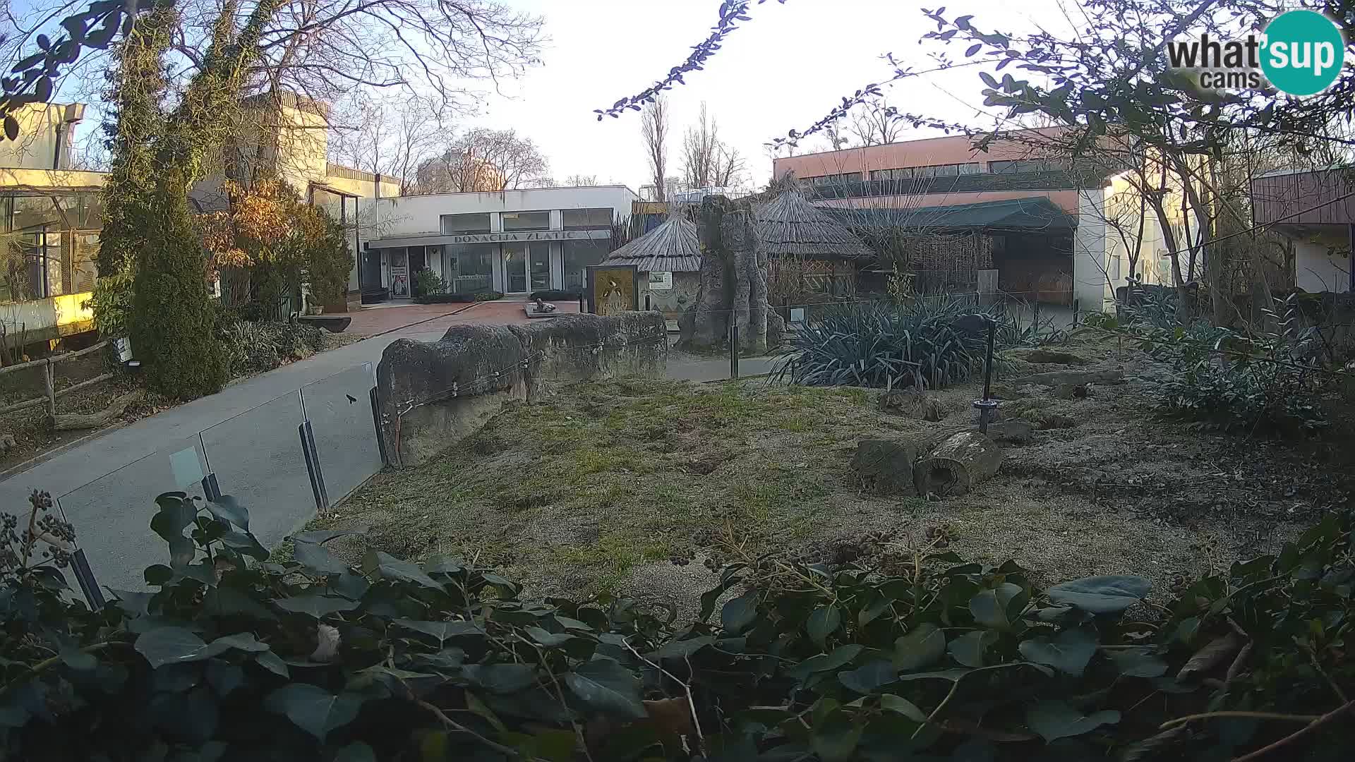 Zoo Zagreb – Erdmännchen