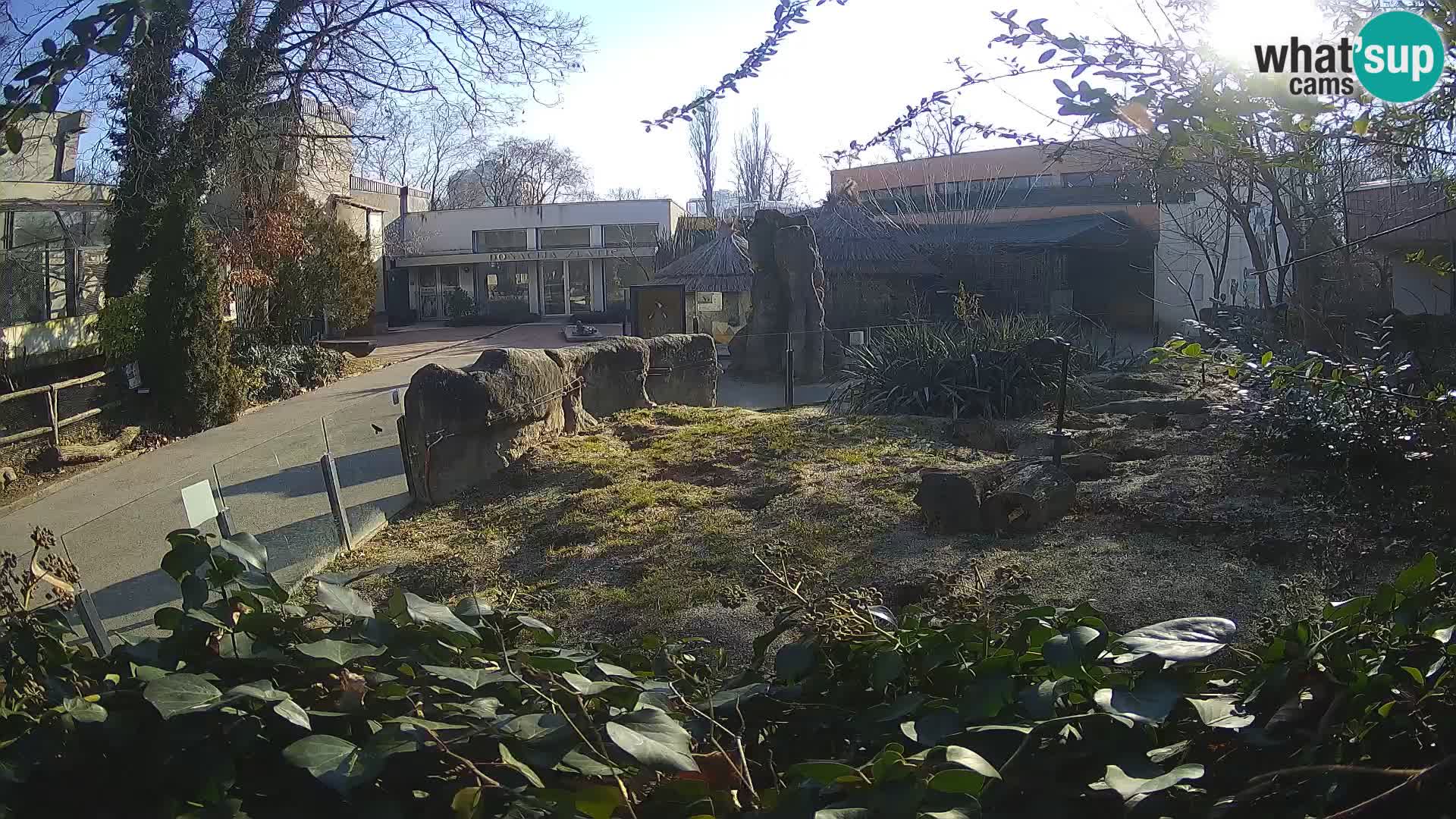 Zoo Zagreb – Erdmännchen