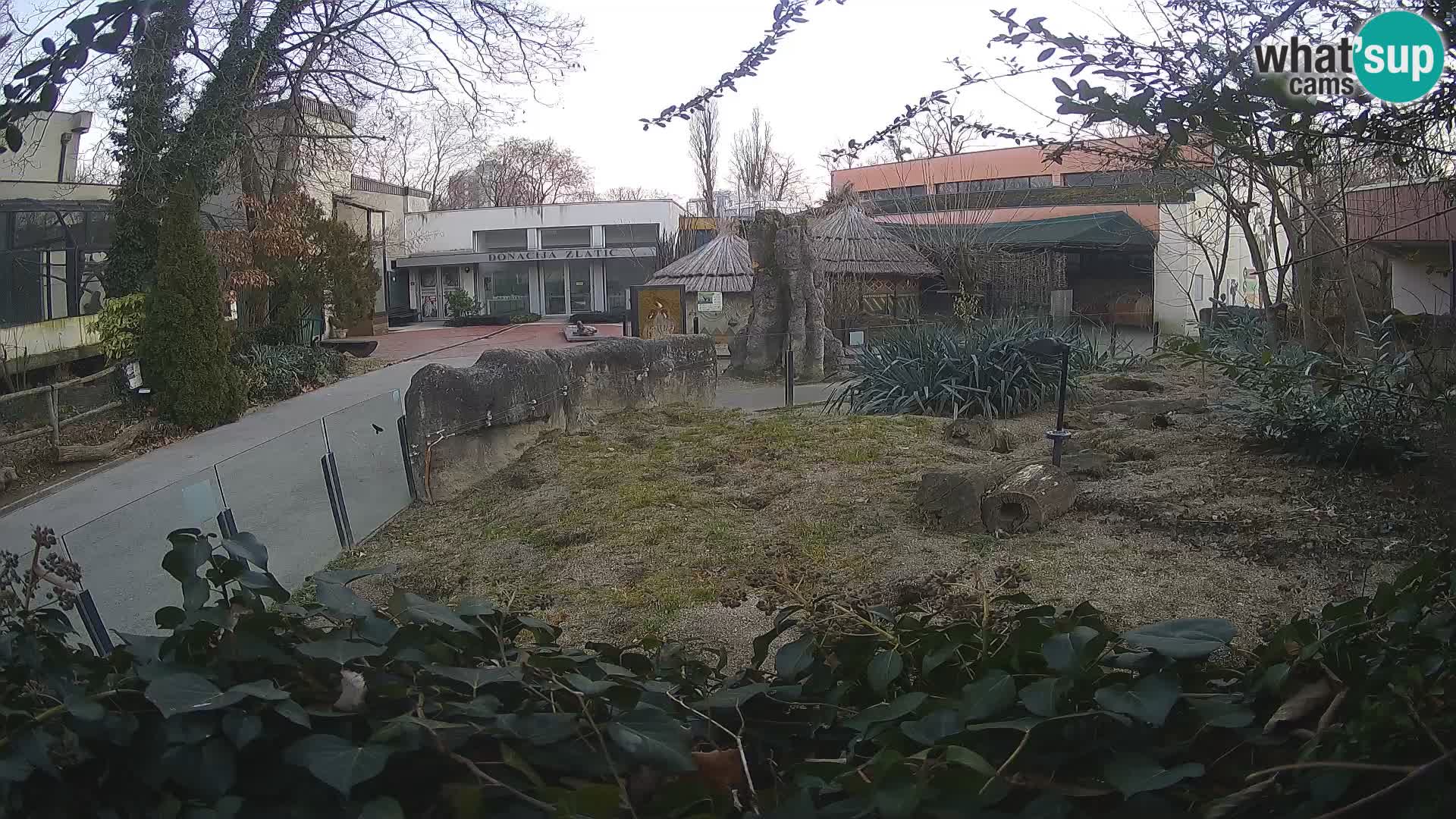 Zoo Zagreb – Erdmännchen