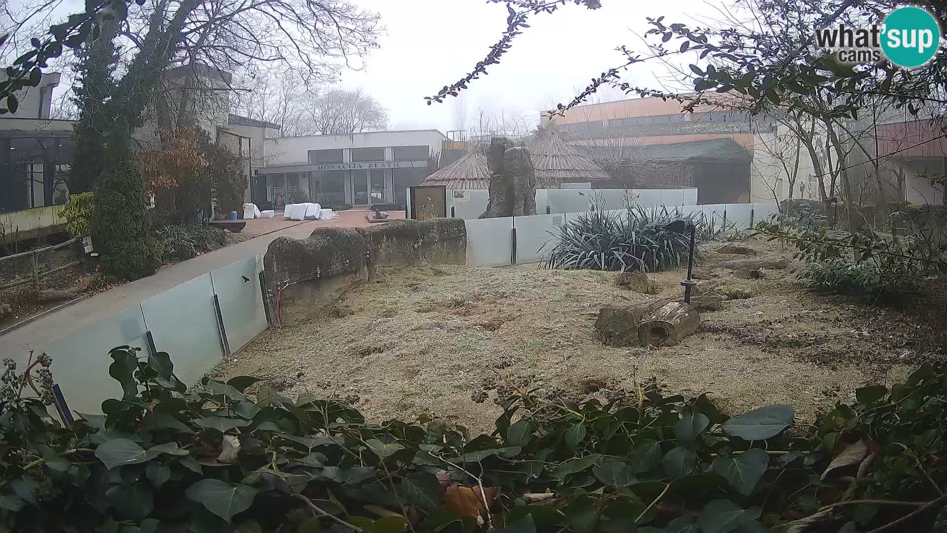 Zoo Zagreb – Erdmännchen