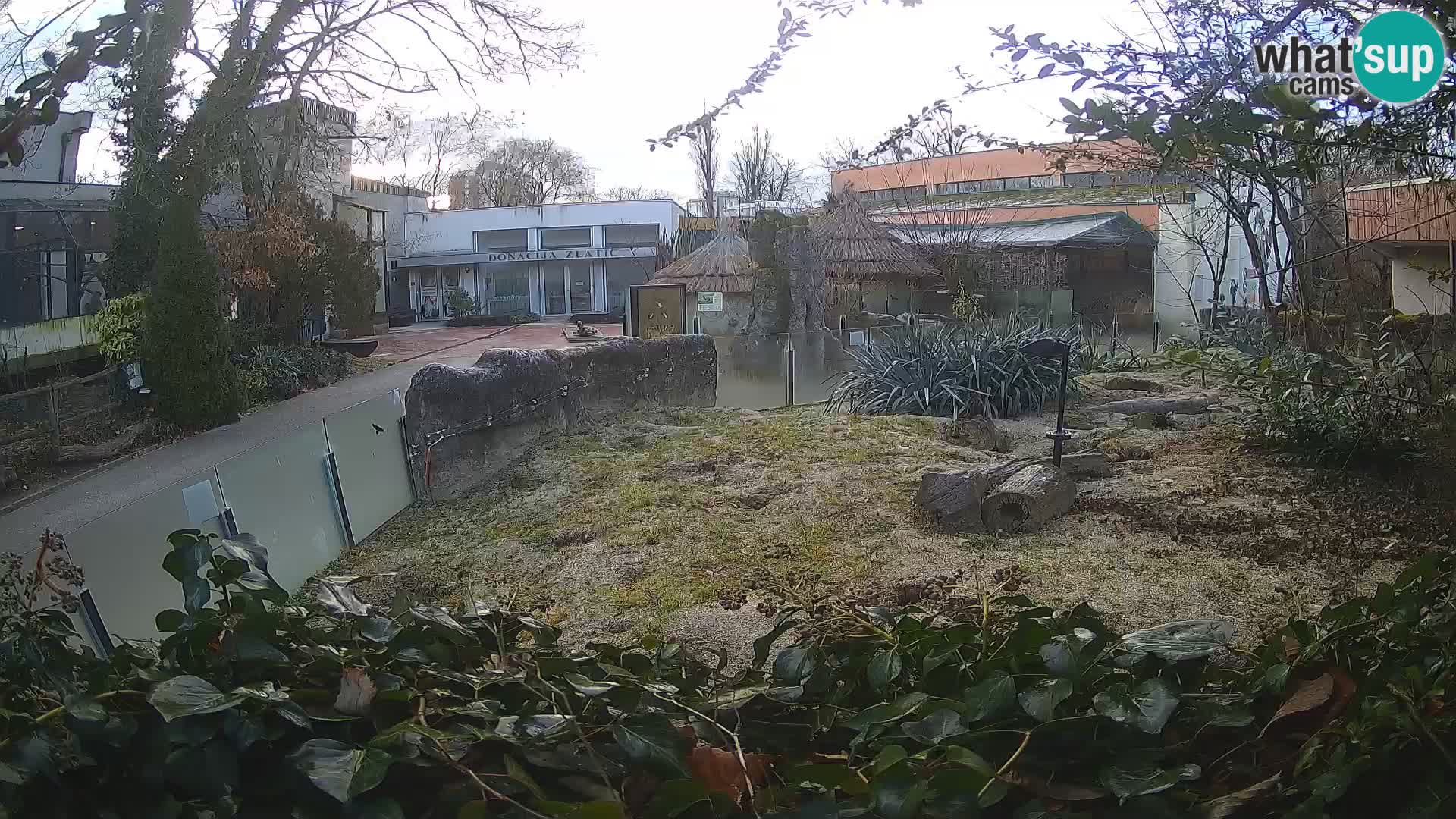 Zoo Zagreb – Erdmännchen