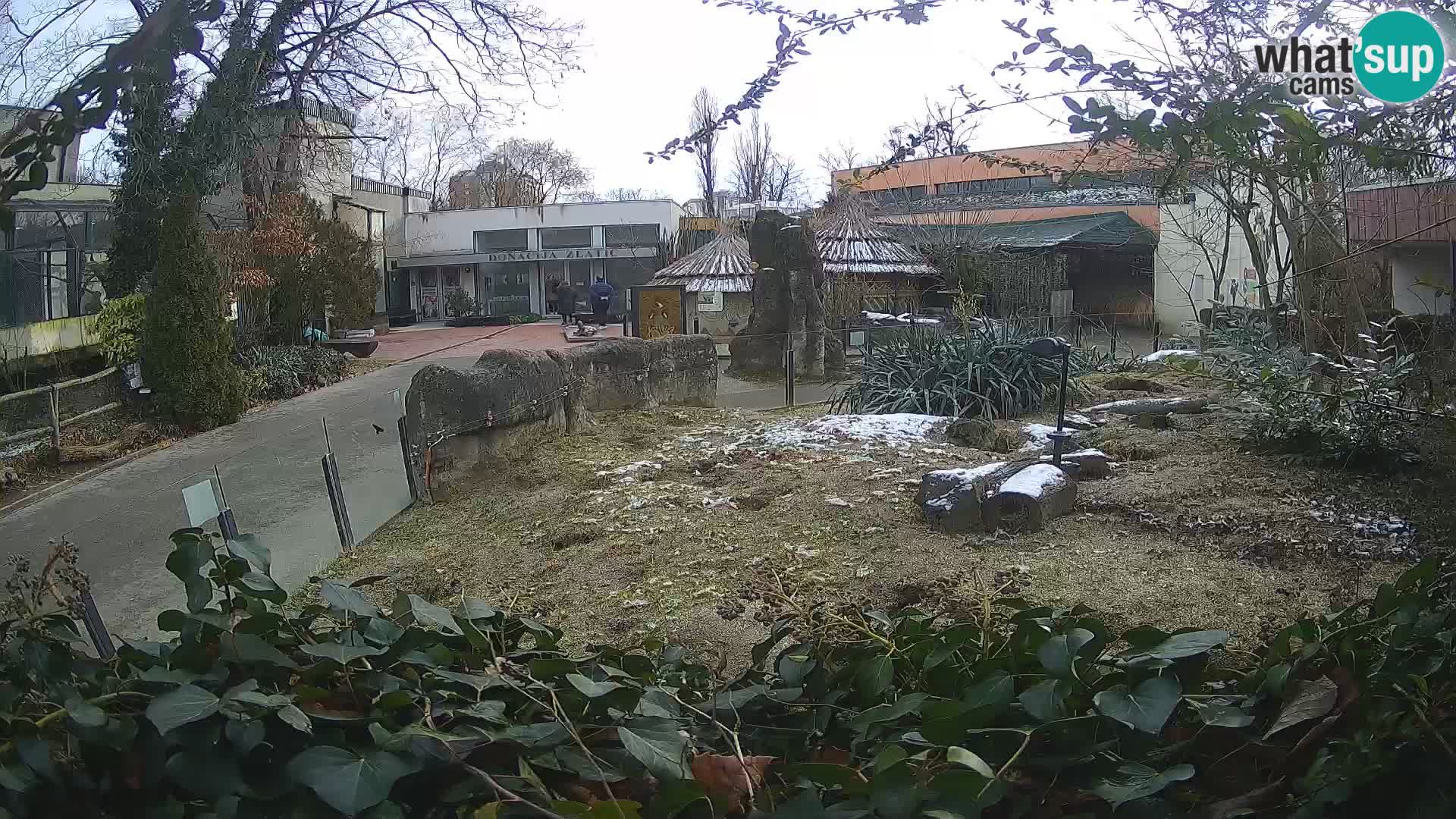 Zoo Zagreb – Erdmännchen