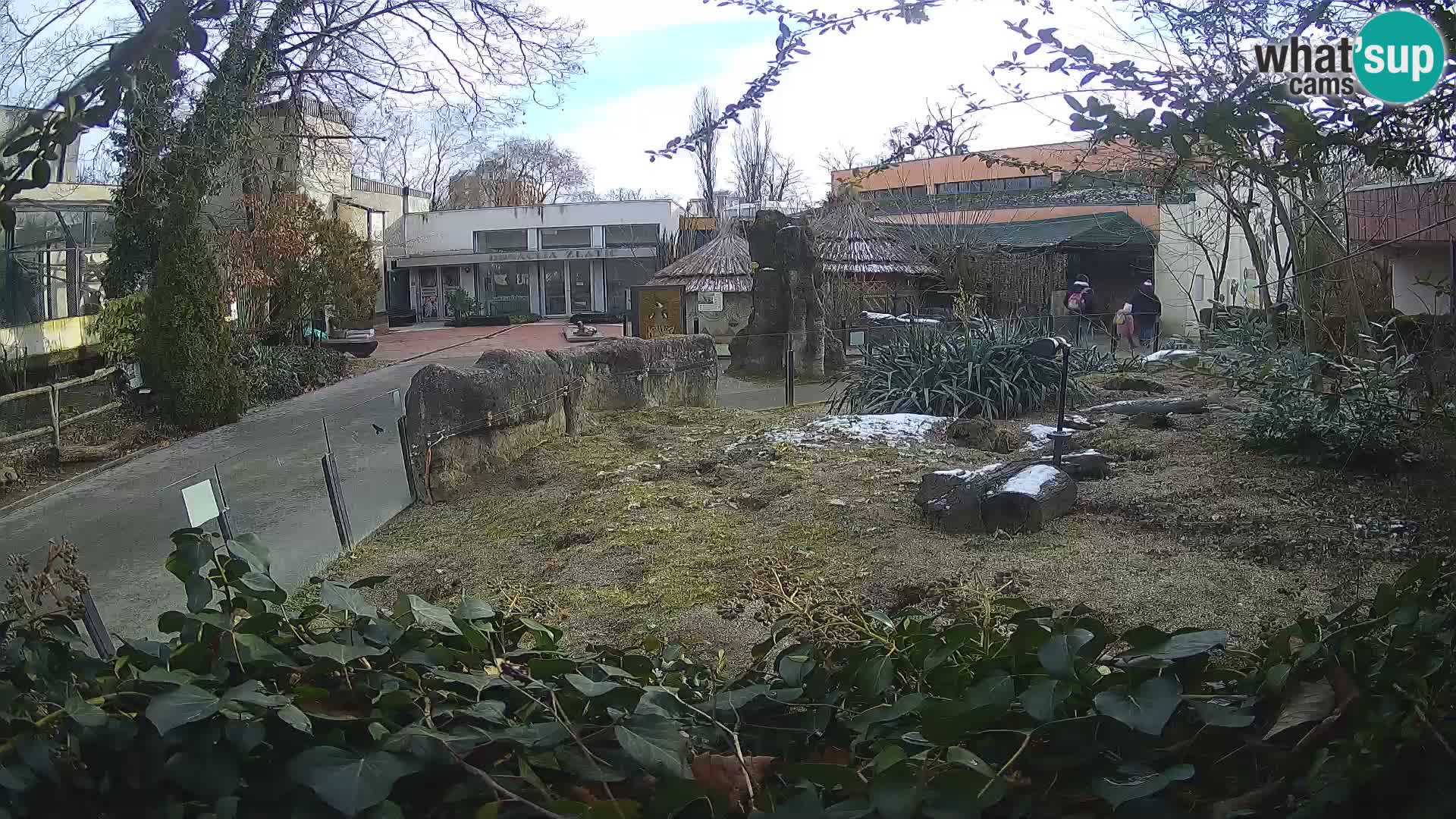 Zoo Zagreb – Merkat