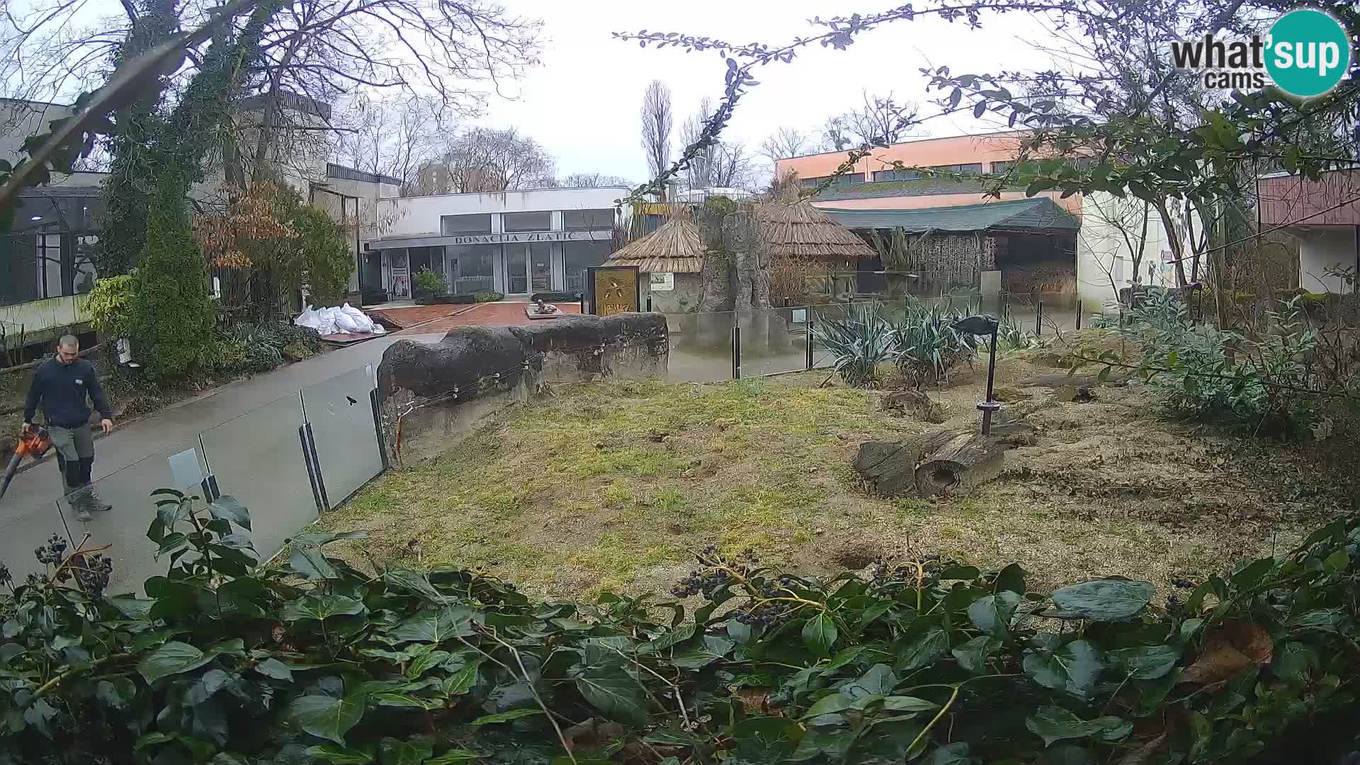 Zoo Zagreb – Erdmännchen