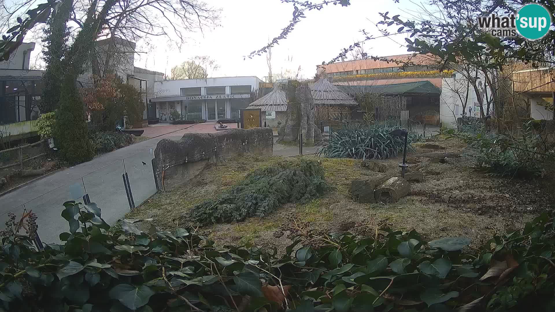 Zoo Zagreb – Erdmännchen