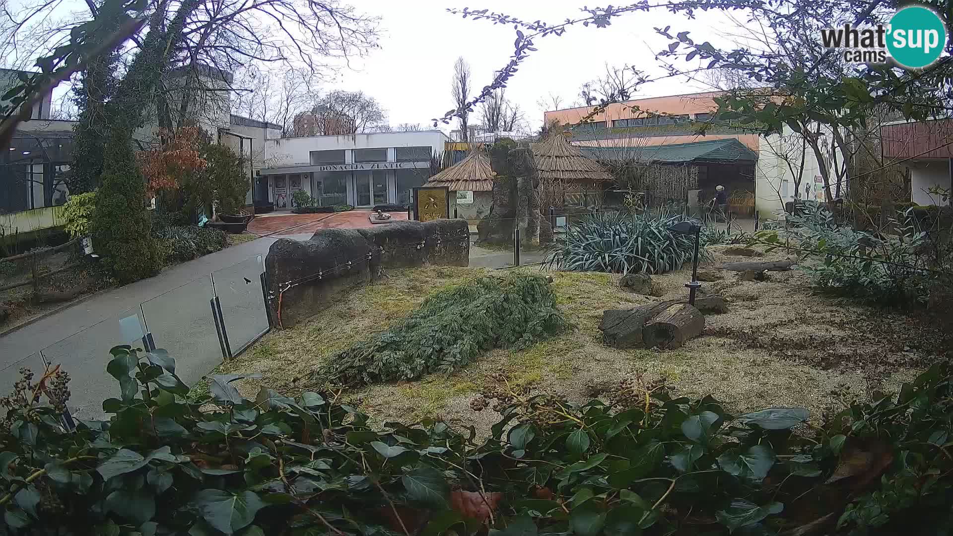 Zoo Zagreb – Erdmännchen