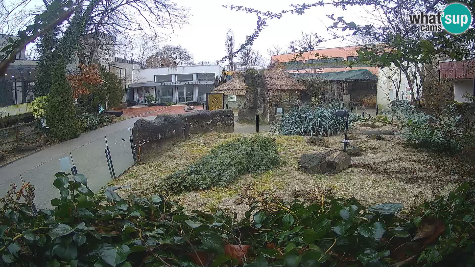 Zoo Zagreb – Erdmännchen