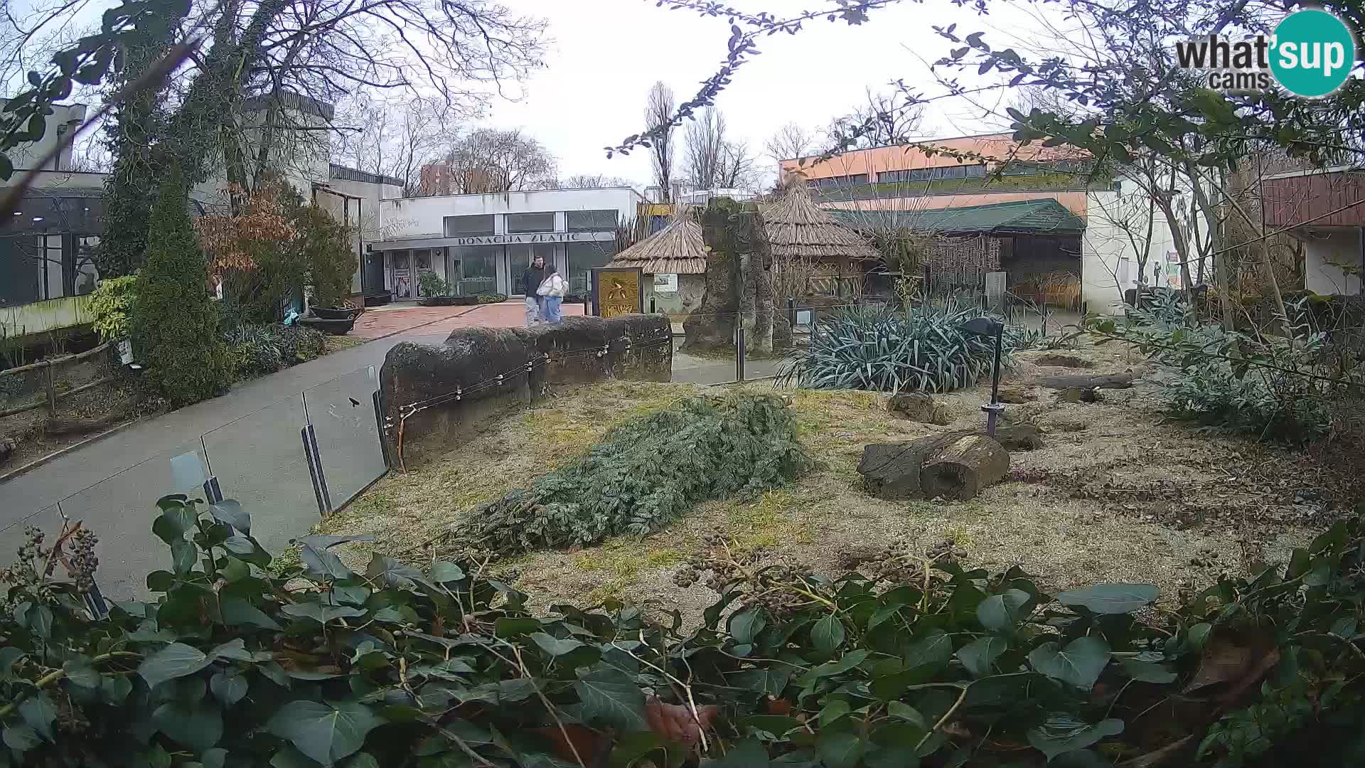 Zoo Zagreb – Erdmännchen